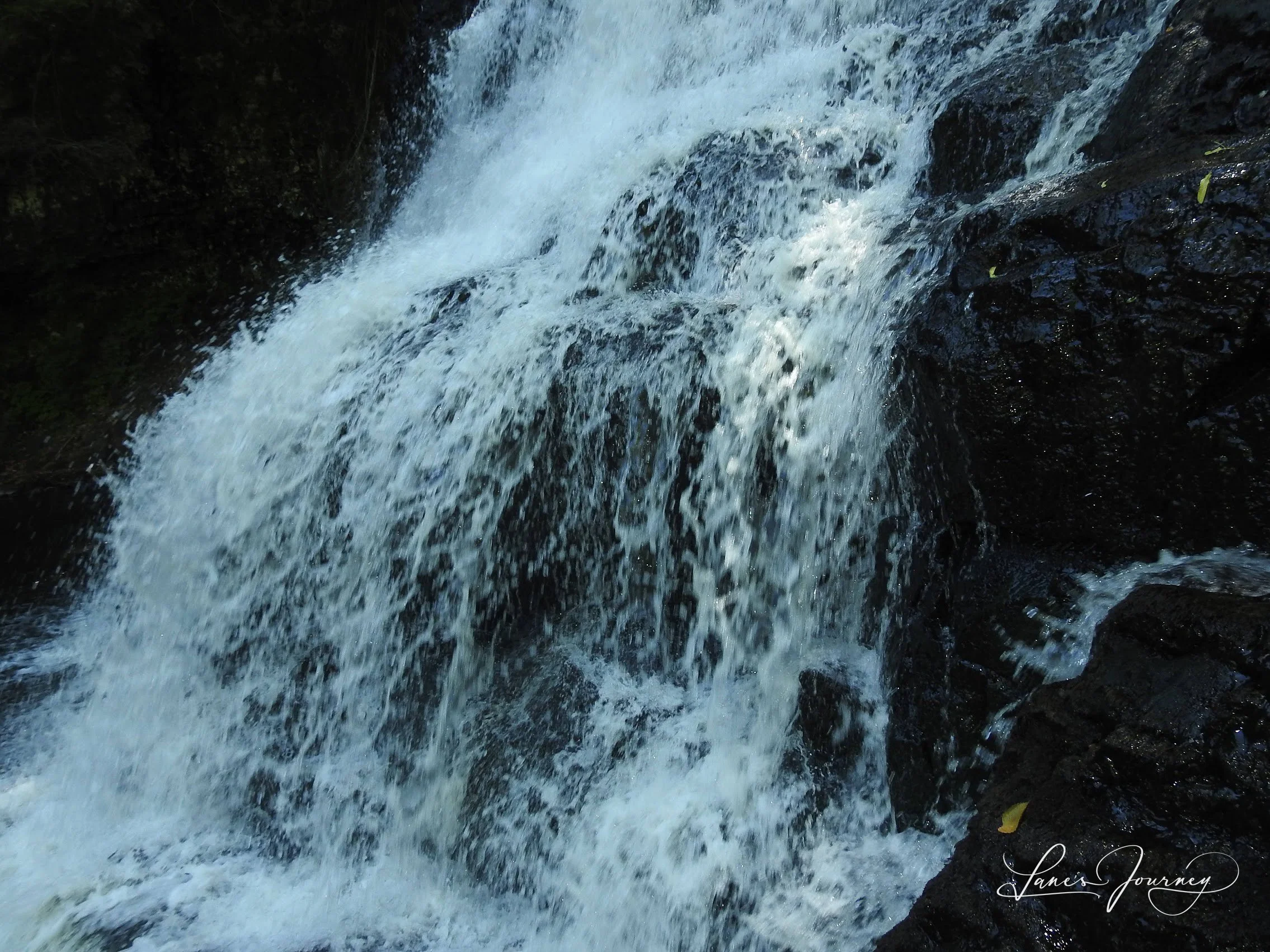 DSCN5793.jpg
