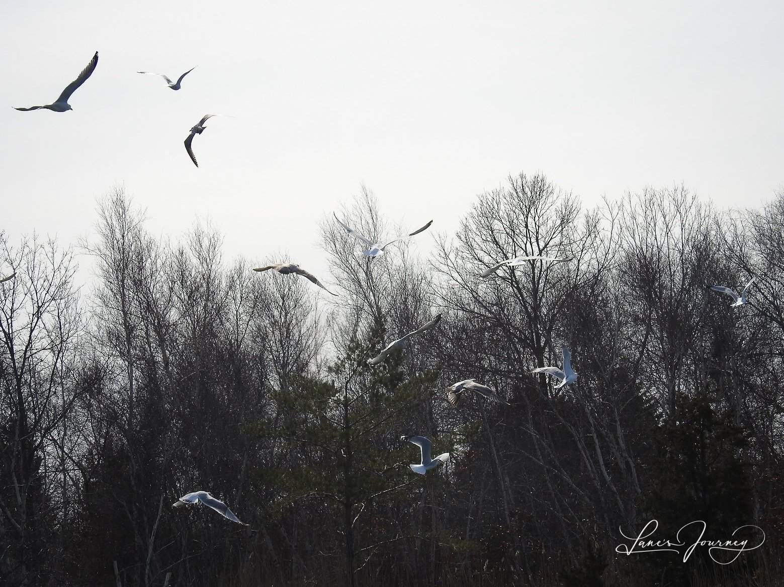 Discovering the Shores Surrounding Boston