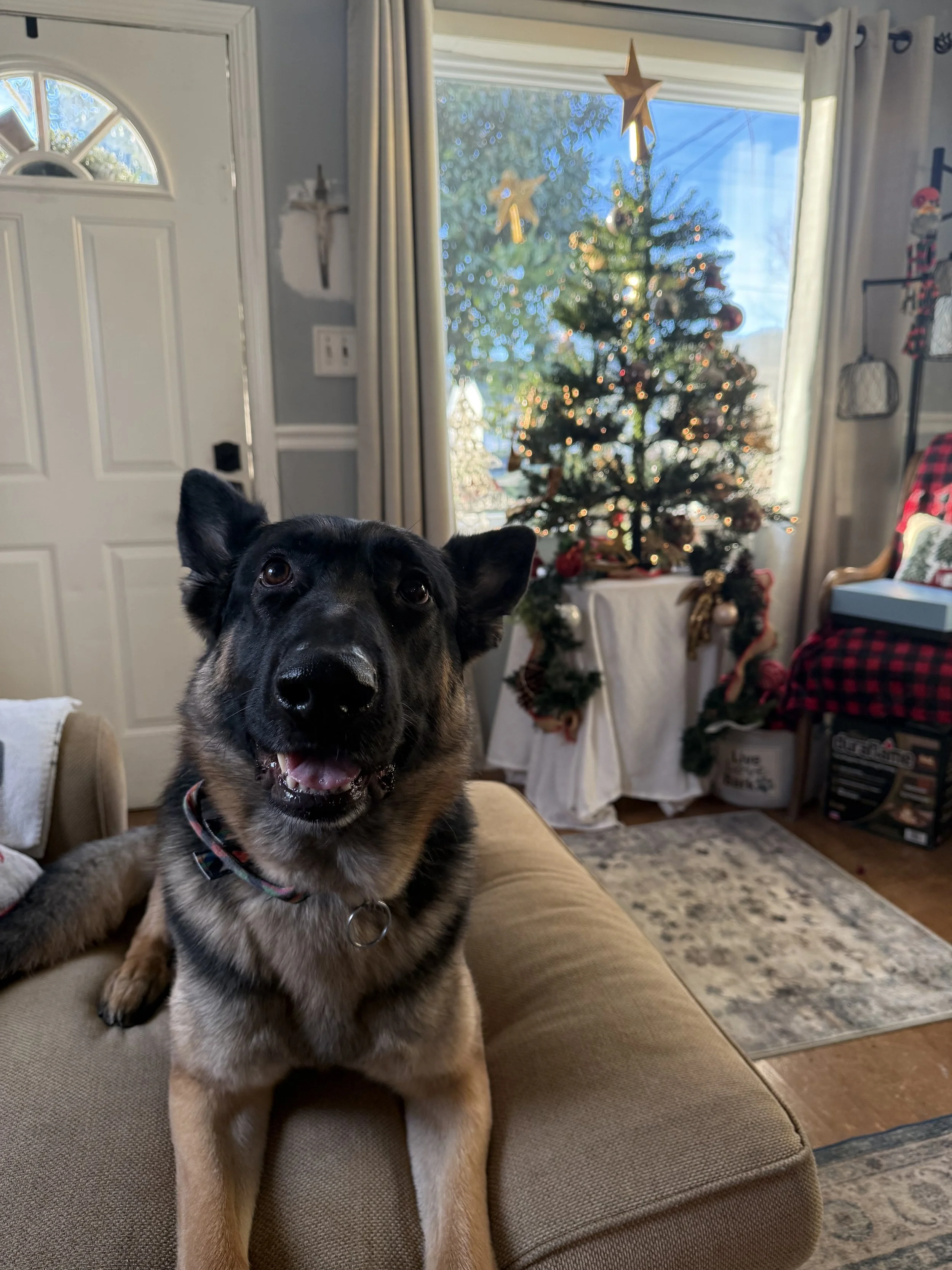 IMG_4022.jpeg