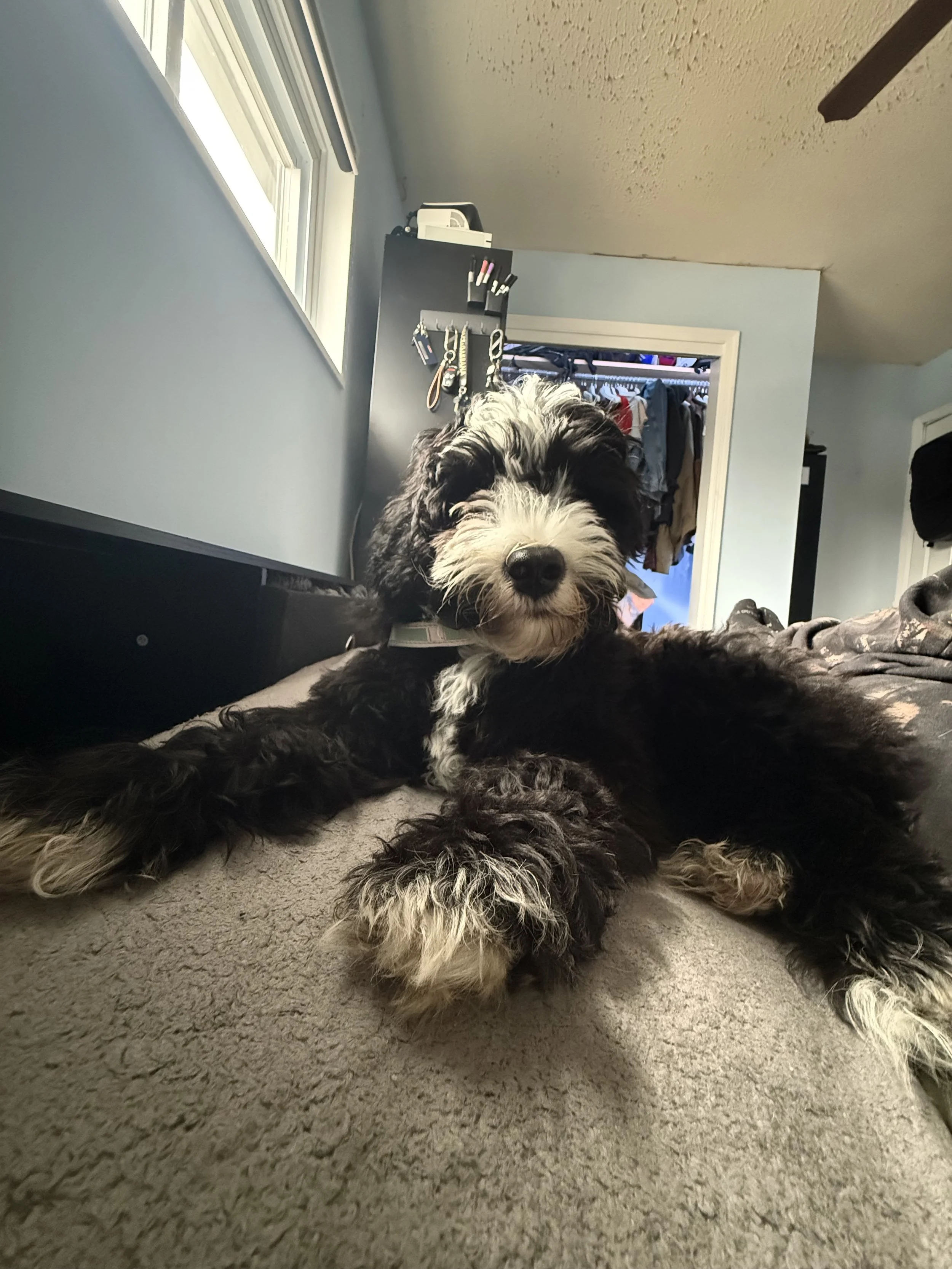 IMG_5616.jpeg