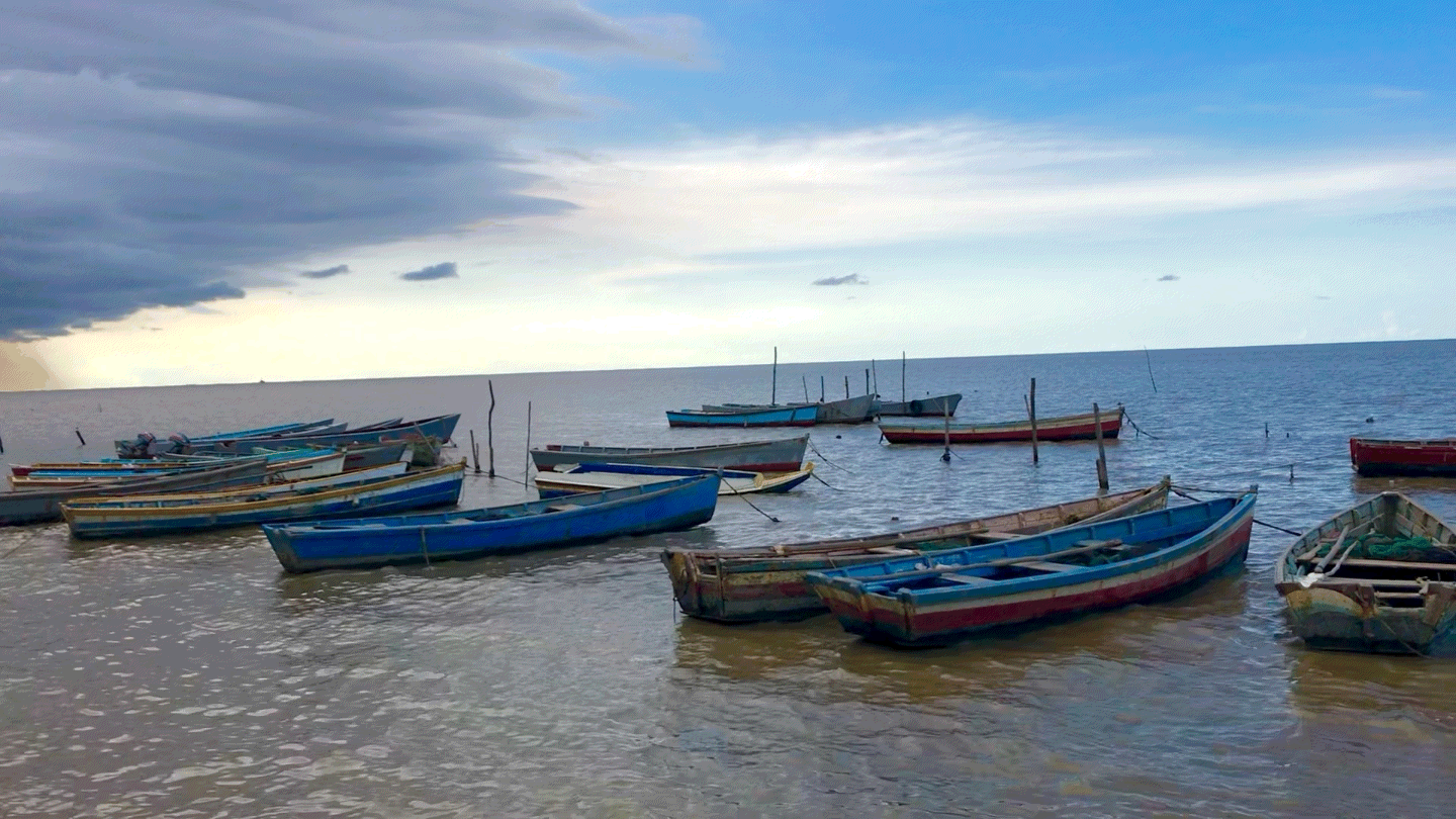 GMP_U2F2ZUdNQVgwMQ== 4.GIF