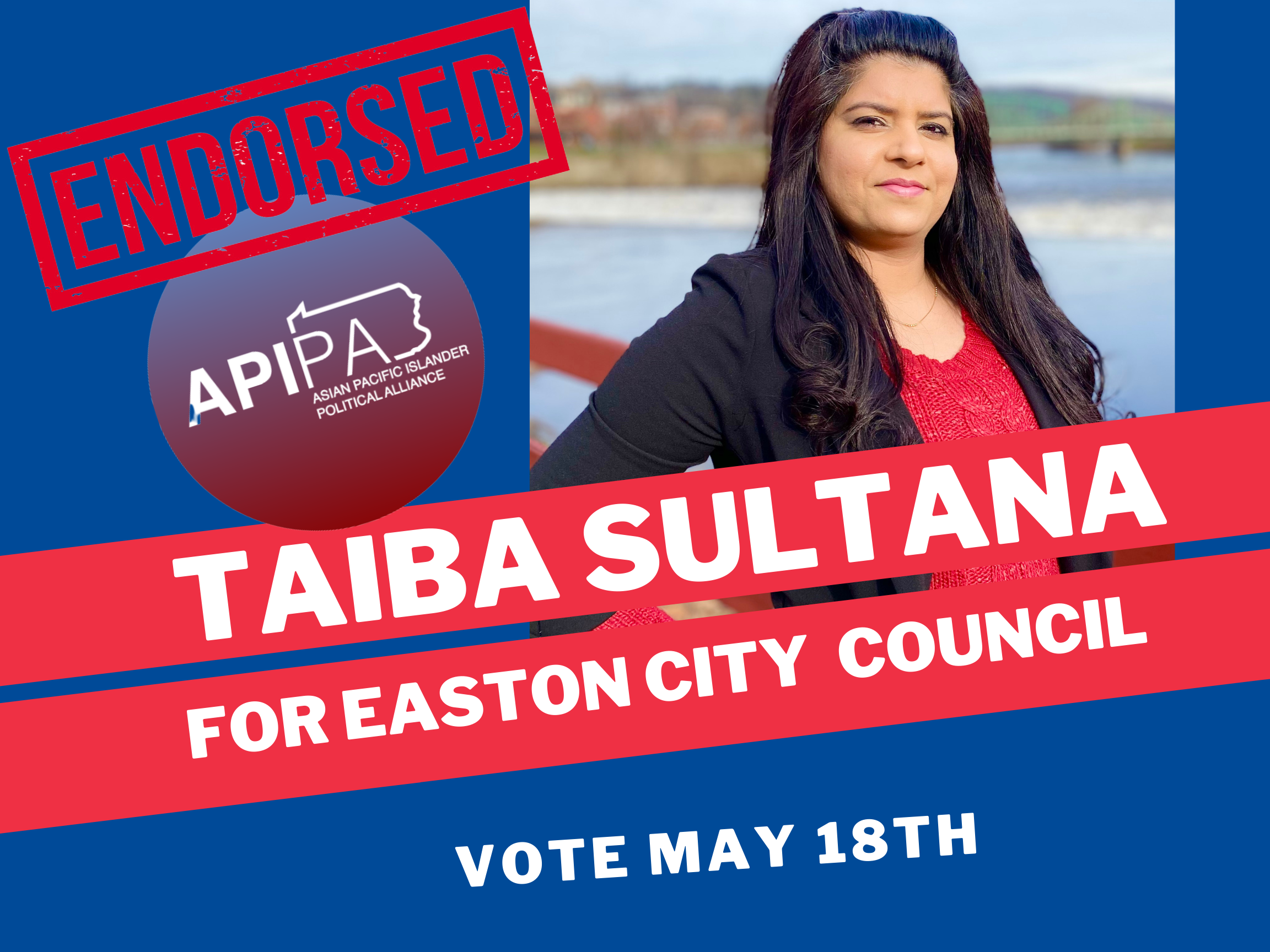 Blue and Red Landscape Voter Education Posters (1).png