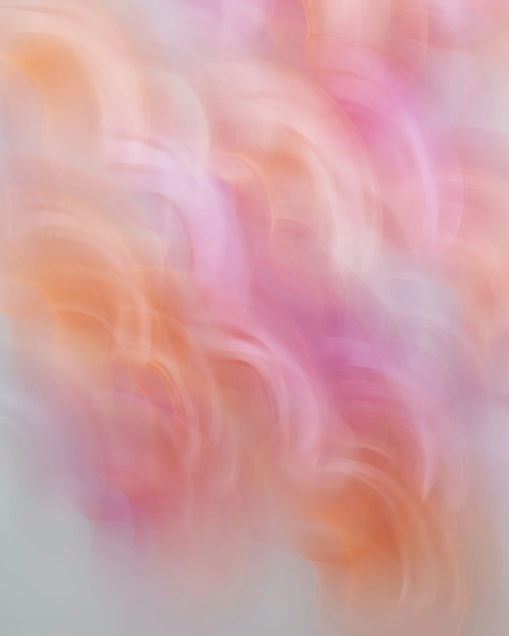 1M5A0873web.jpg
