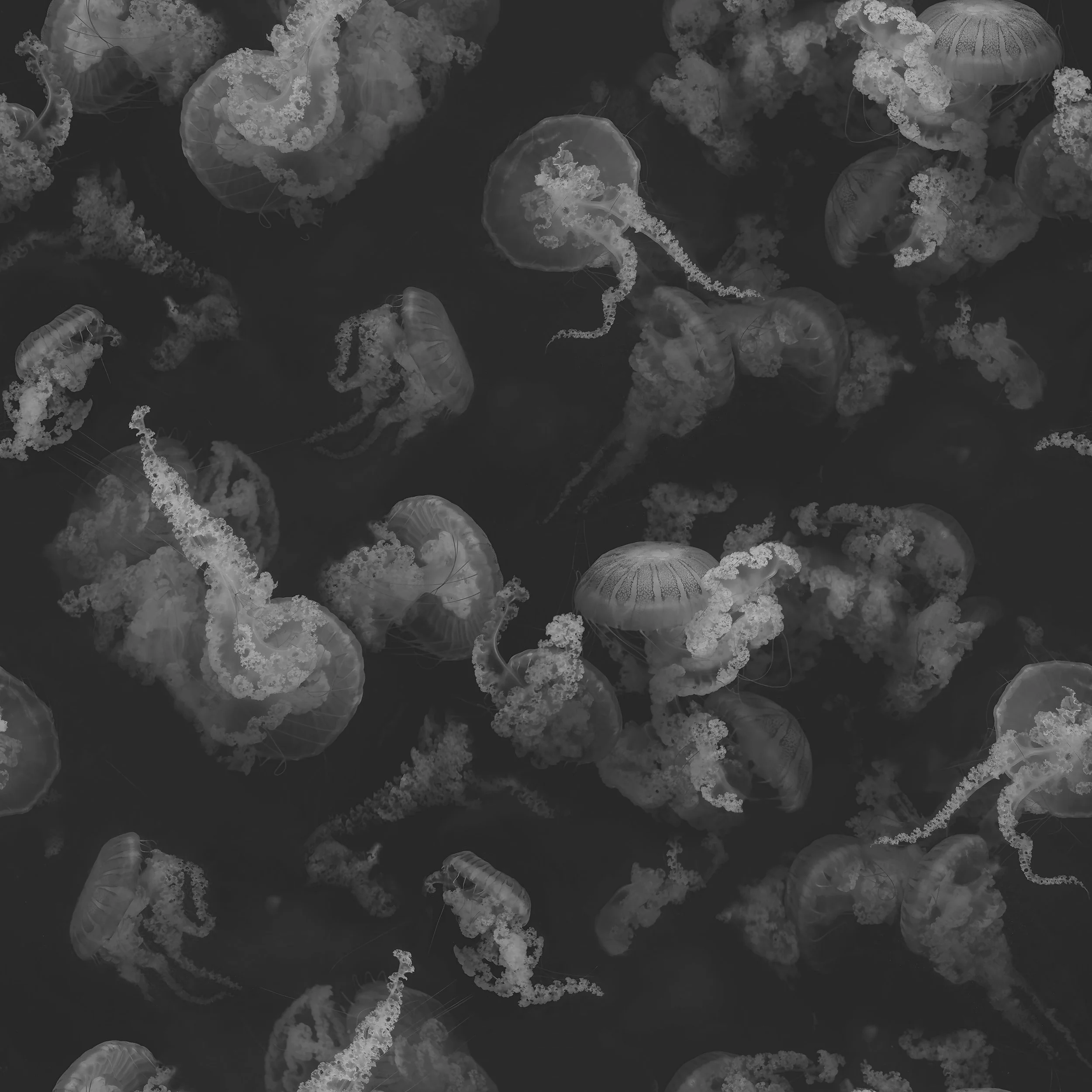 24jellypapercharcoal.jpg