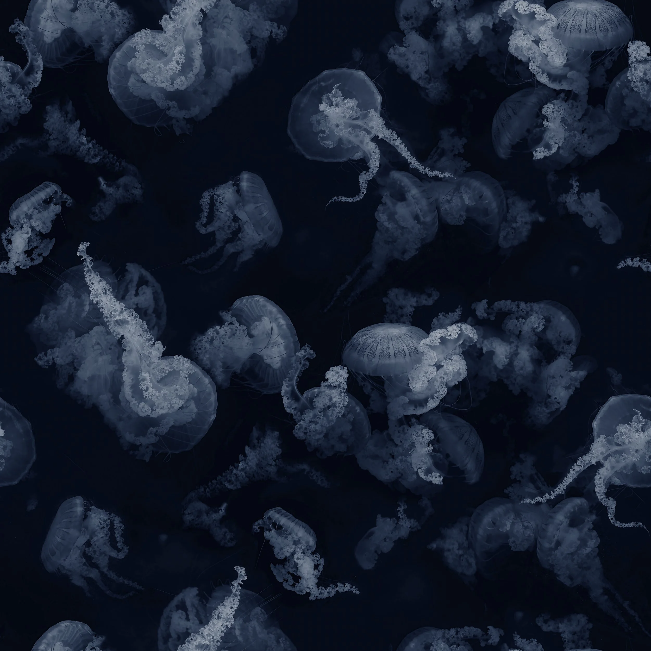 24jellypaperBlue.jpg