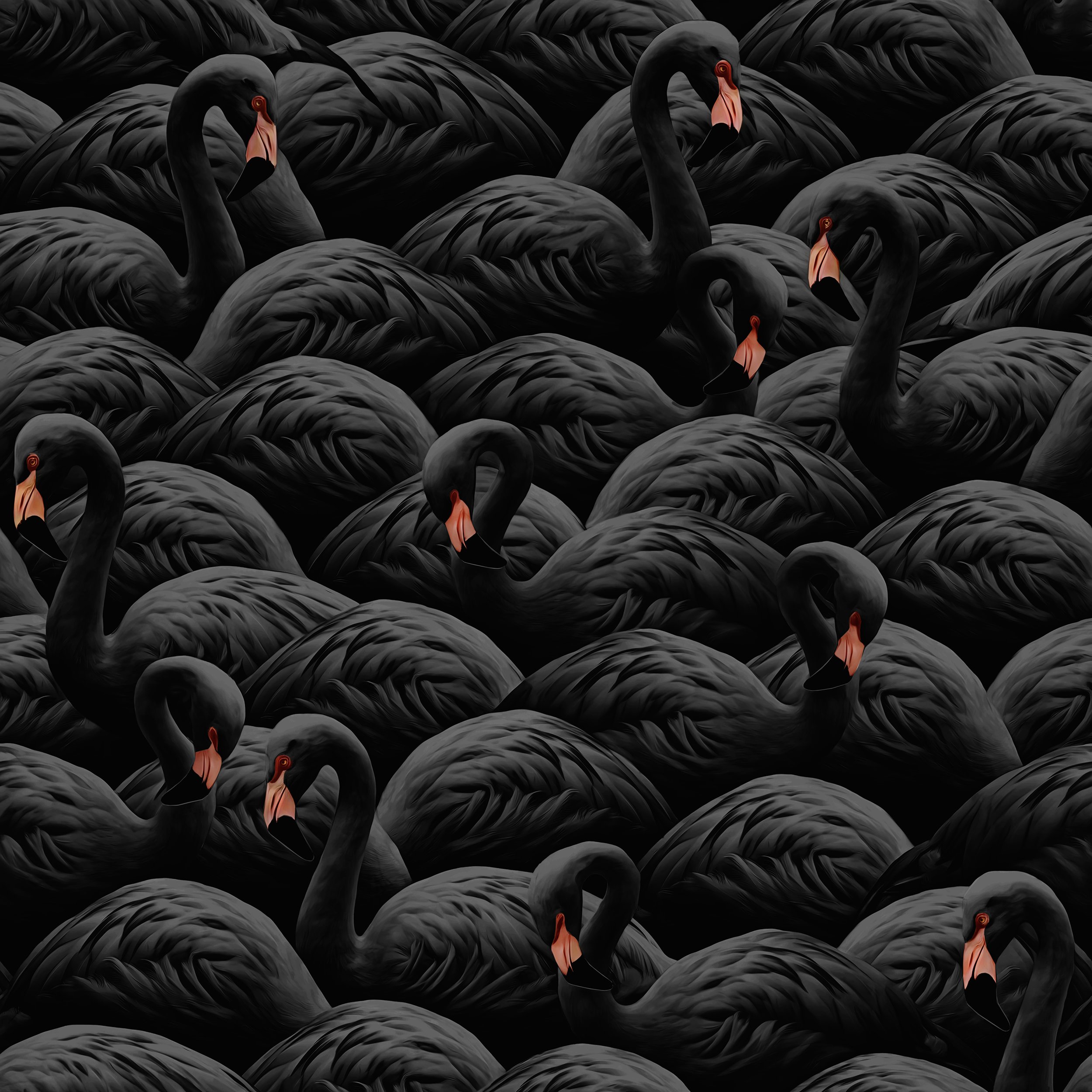 flamingopaperblacktfinal.jpg