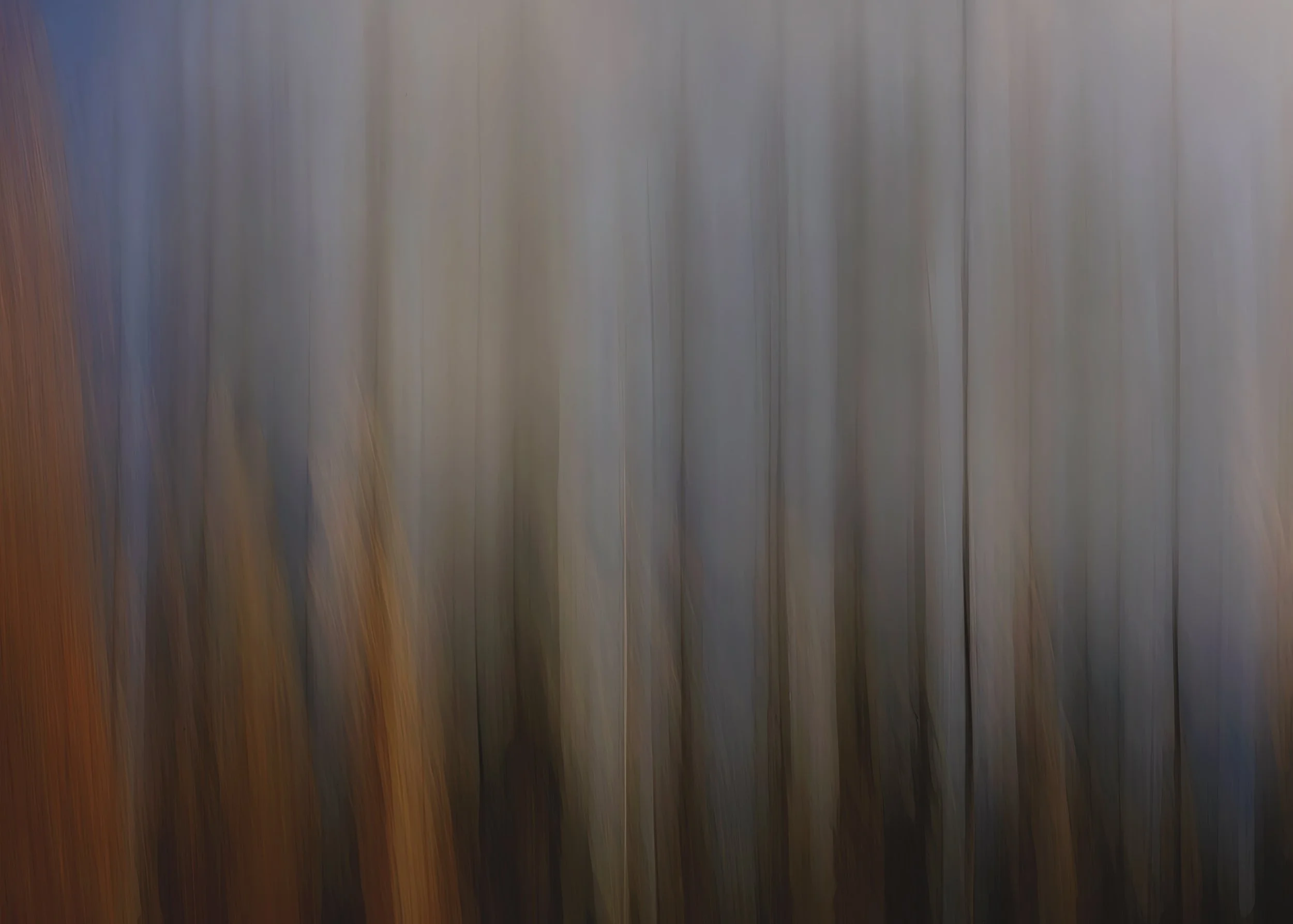 Reeds, Grass and Sky