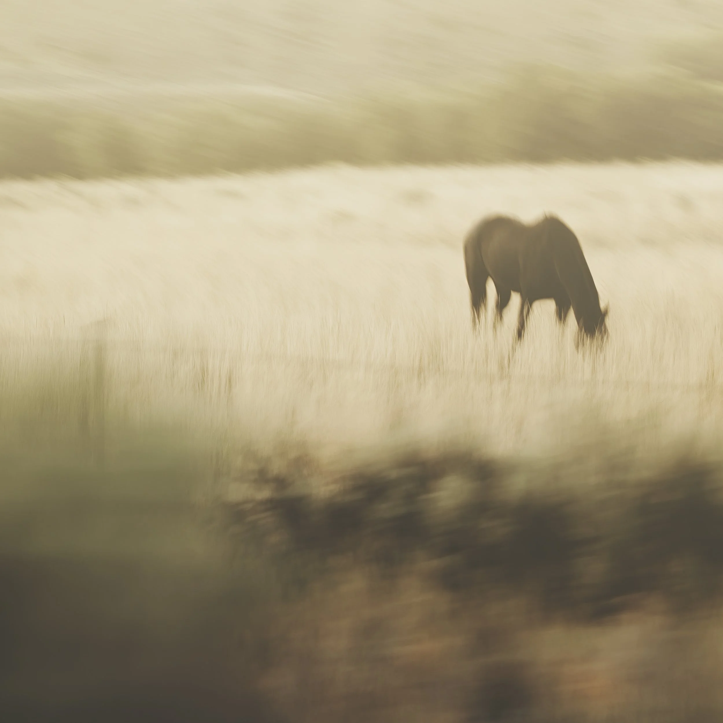 Passing Through