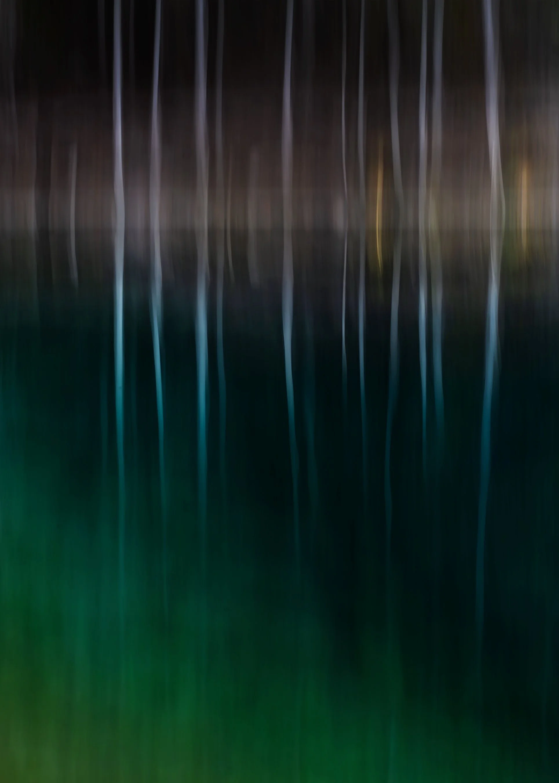 Aspens on an Alberta Lake