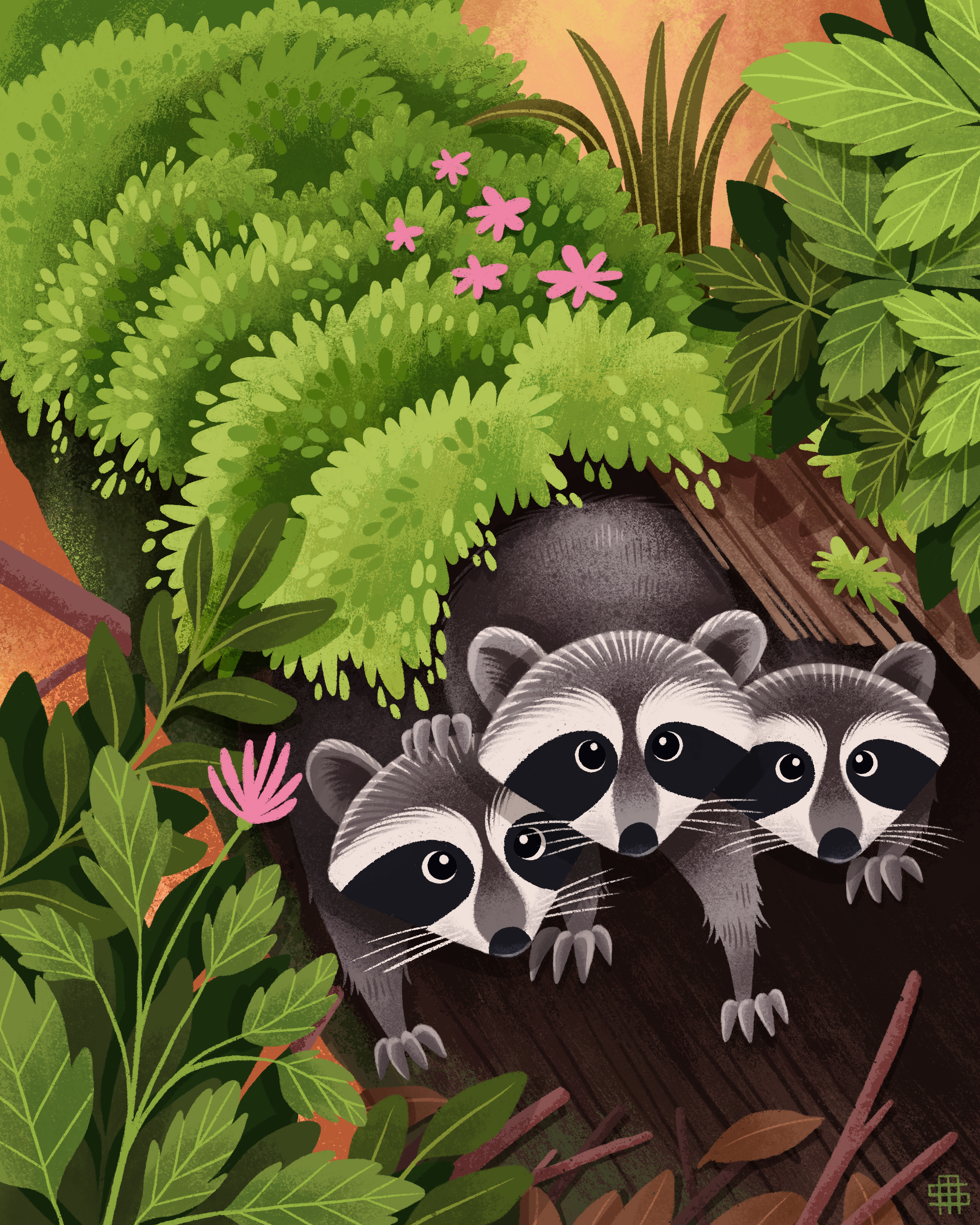 Illustration of three raccoons hiding among green bushes and plants on a wooden surface.