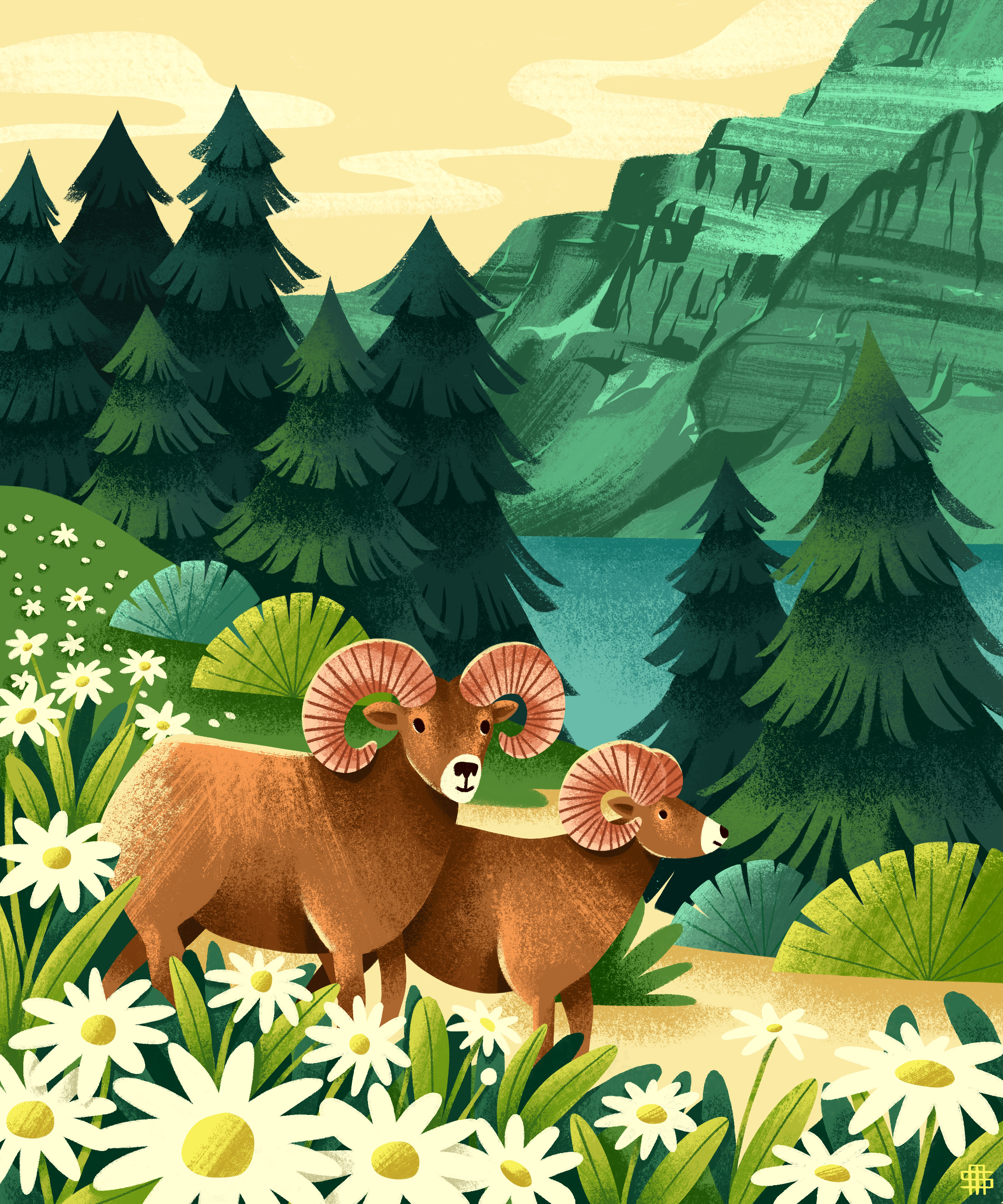 steph-manuel-stephwilldraw-canadian-wildlife-series-bighorn-sheep-illustration.PNG