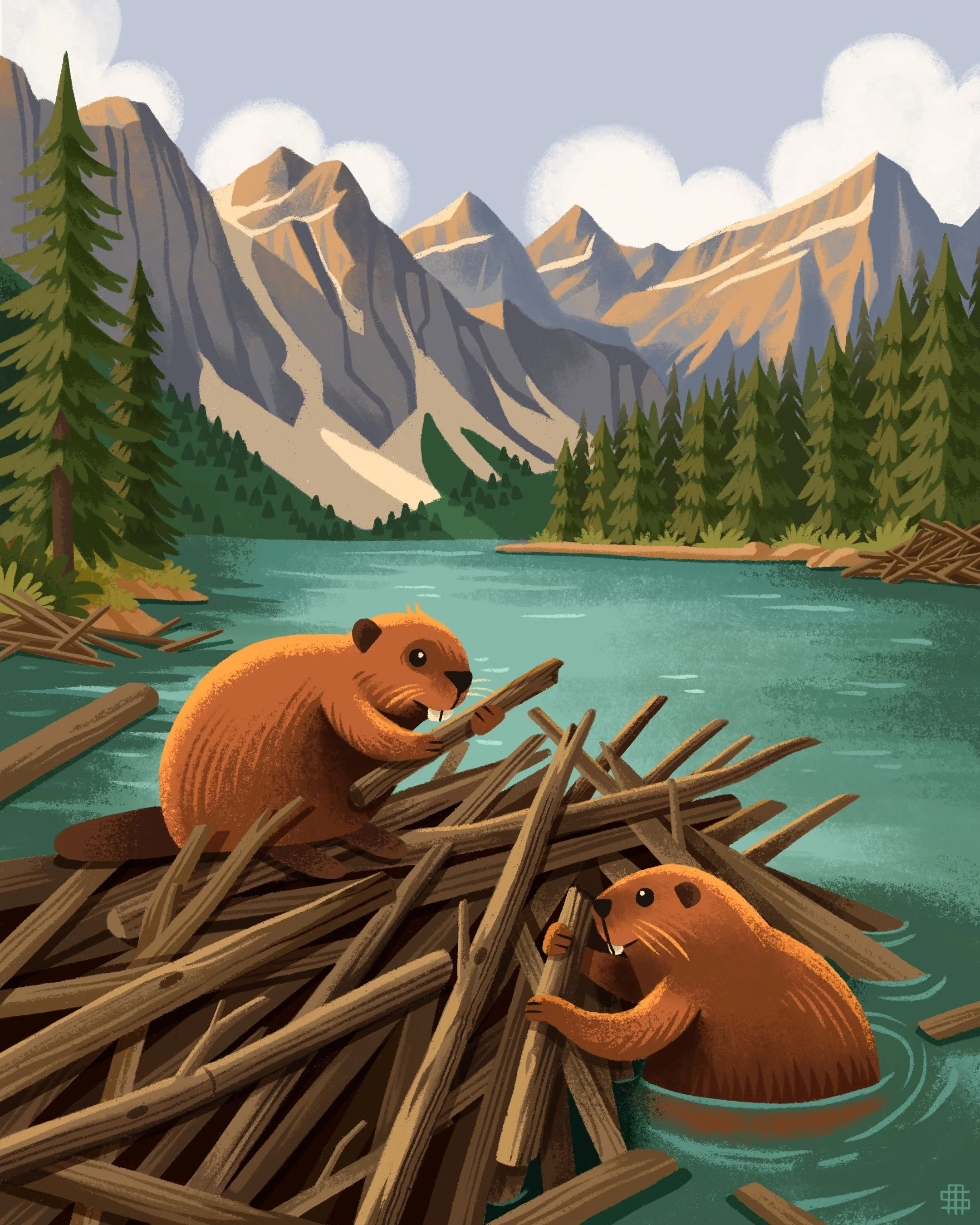 Two correspondents beaver in a river building a dam with sticks, mountains and pine trees in the background.