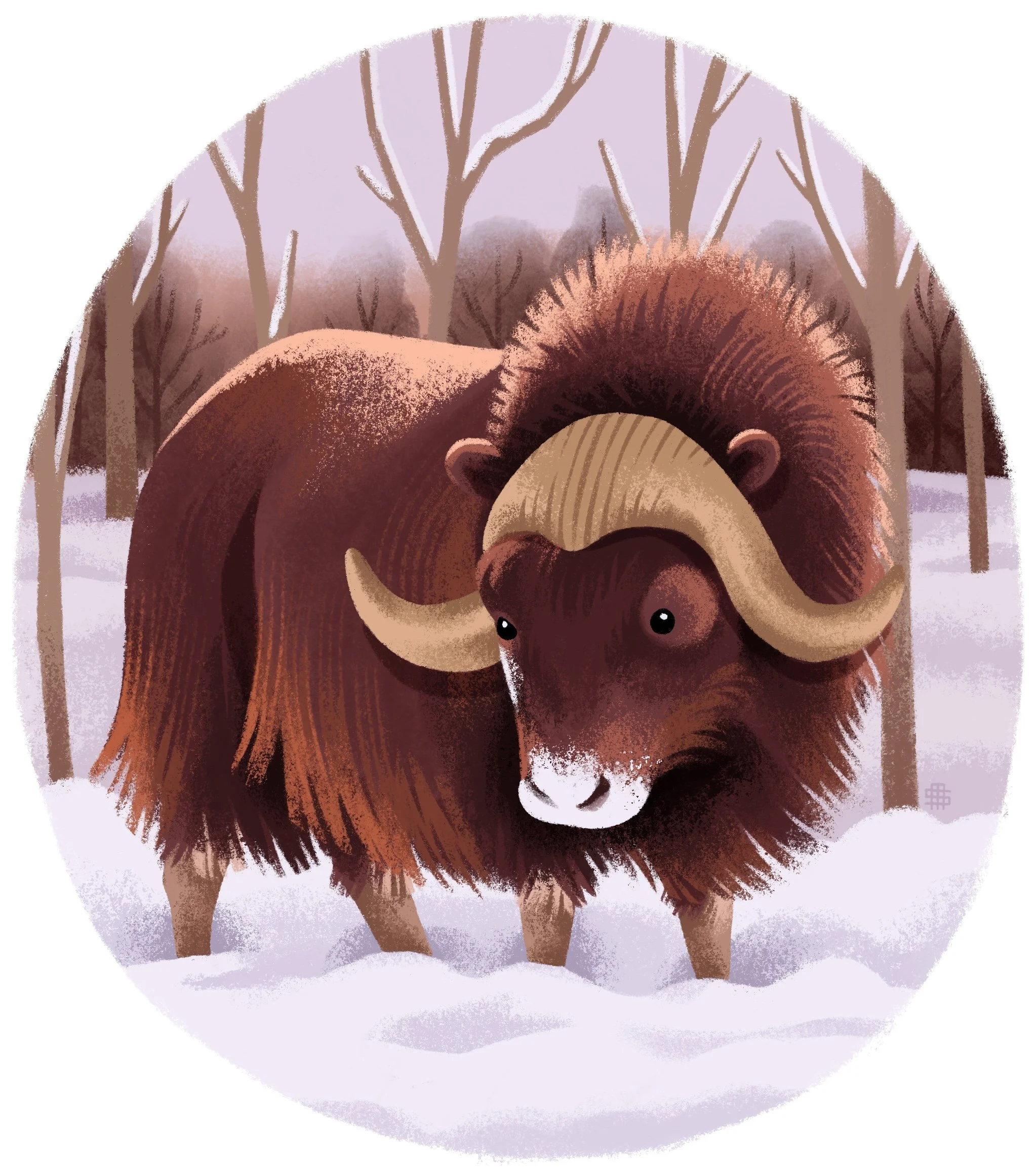 Illustration of a musk ox standing in a snowy forest with leafless trees in the background.
