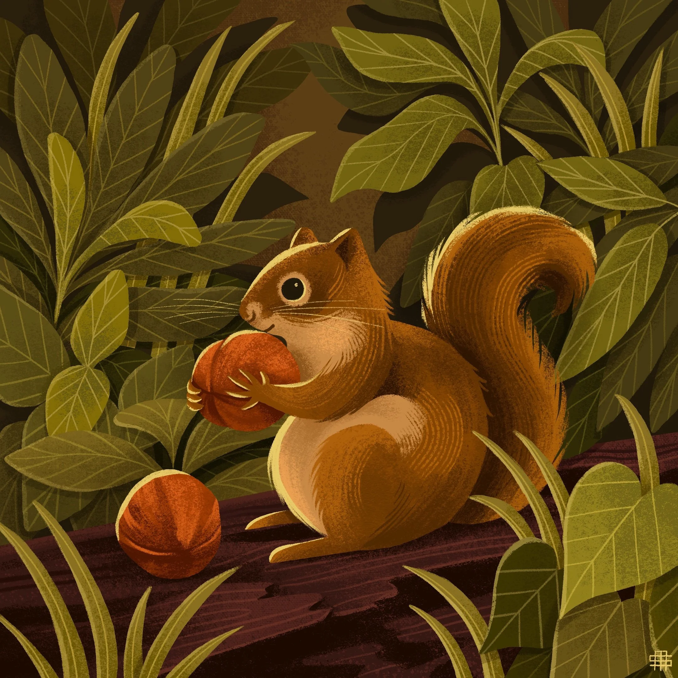 A squirrel sitting on a log surrounded by green leaves, holding a nut and with a couple of nuts nearby.