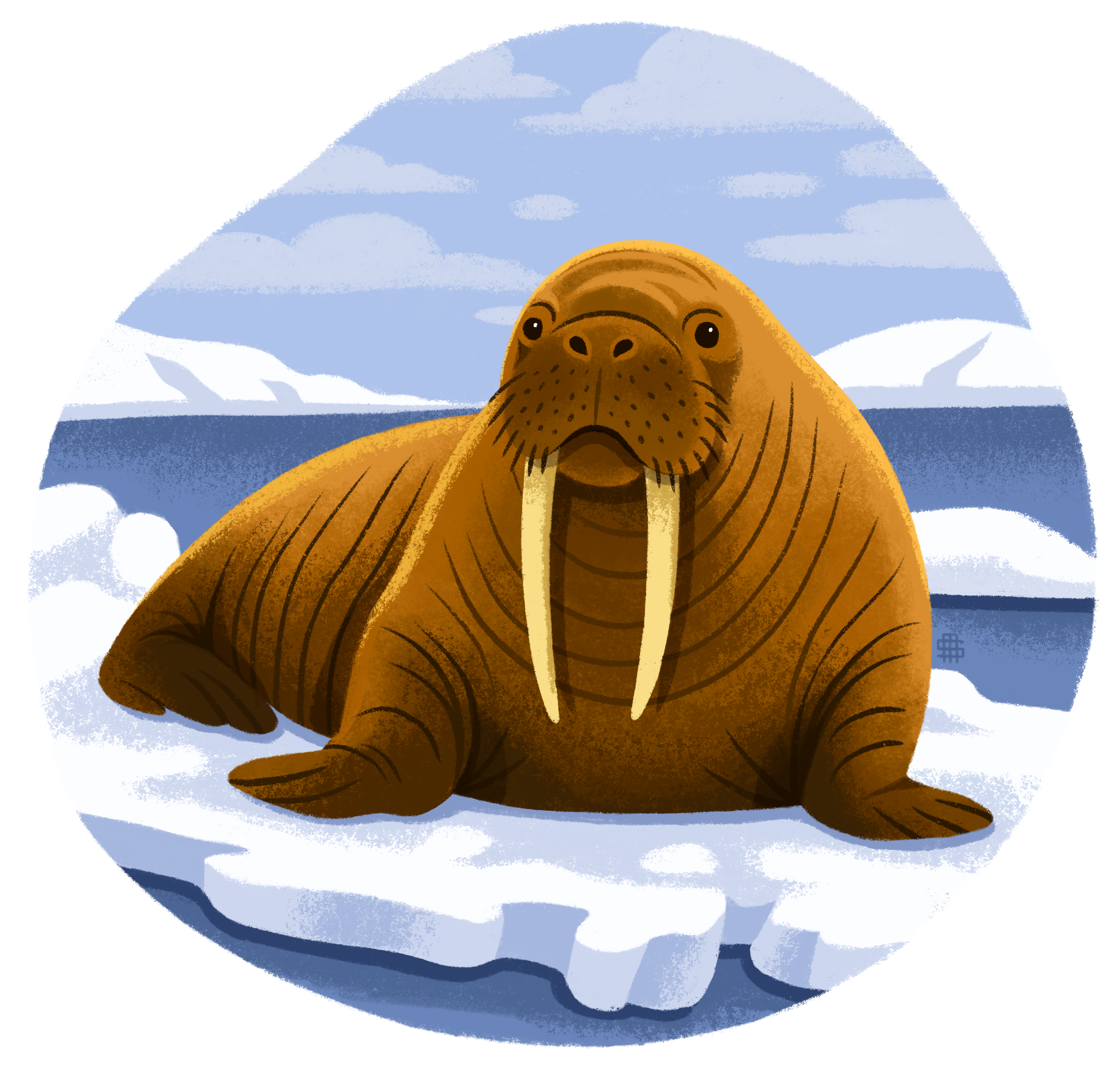 An illustration of a walrus resting on an ice floe in an Arctic landscape with glaciers and clouds in the background.