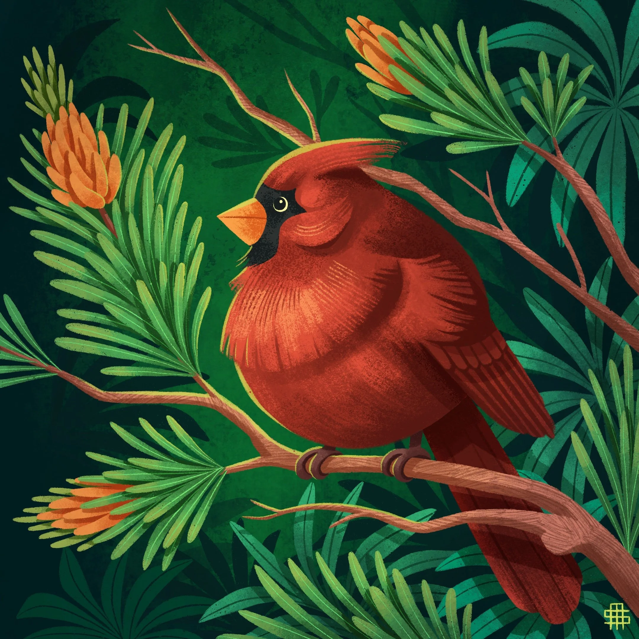 A digital illustration of a red cardinal bird perched on a branch with green pine-like leaves and orange flowers, set against a dark green background.