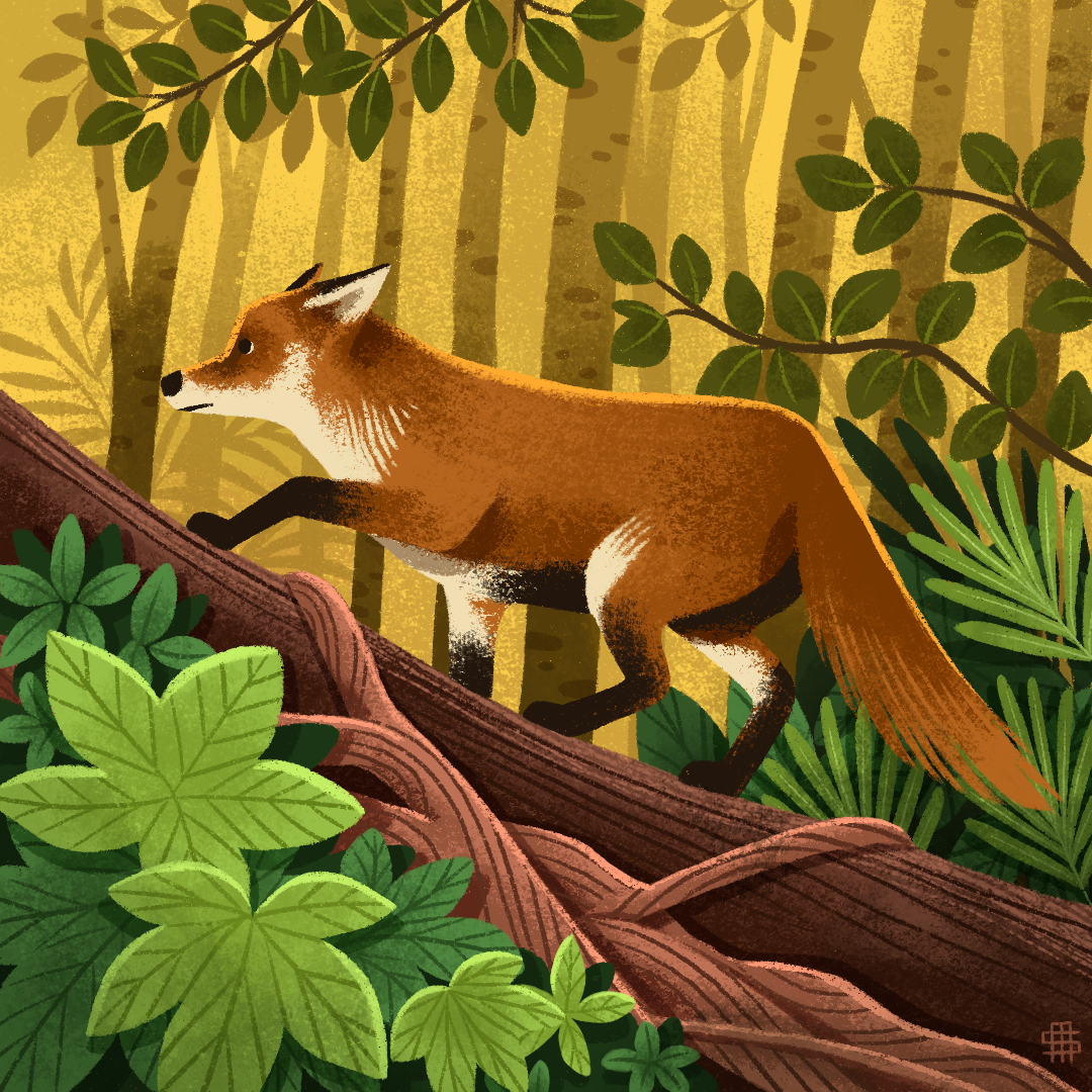 Illustration of a fox on a tree branch in a lush forest with green leaves and tall yellowish trees.