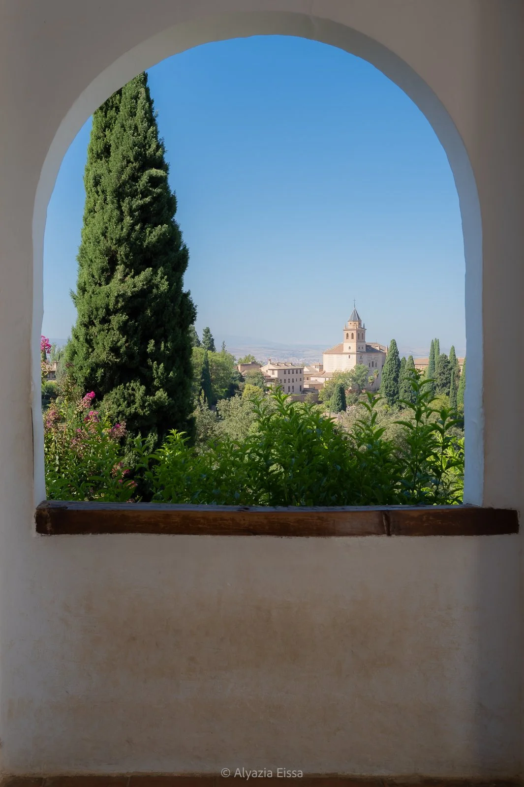 L1010199.jpg