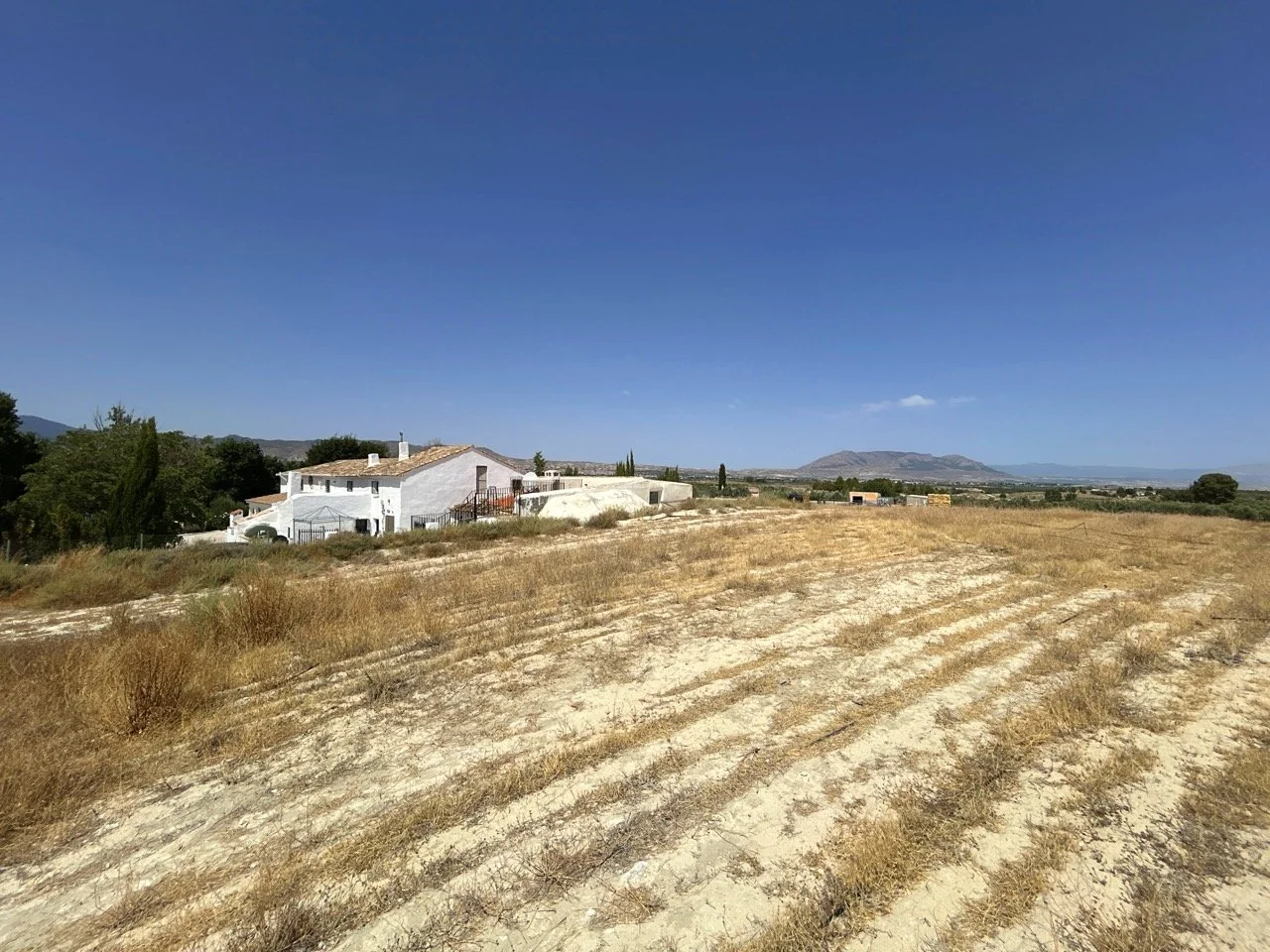 DJI_20250722_125335_483 Large.jpeg