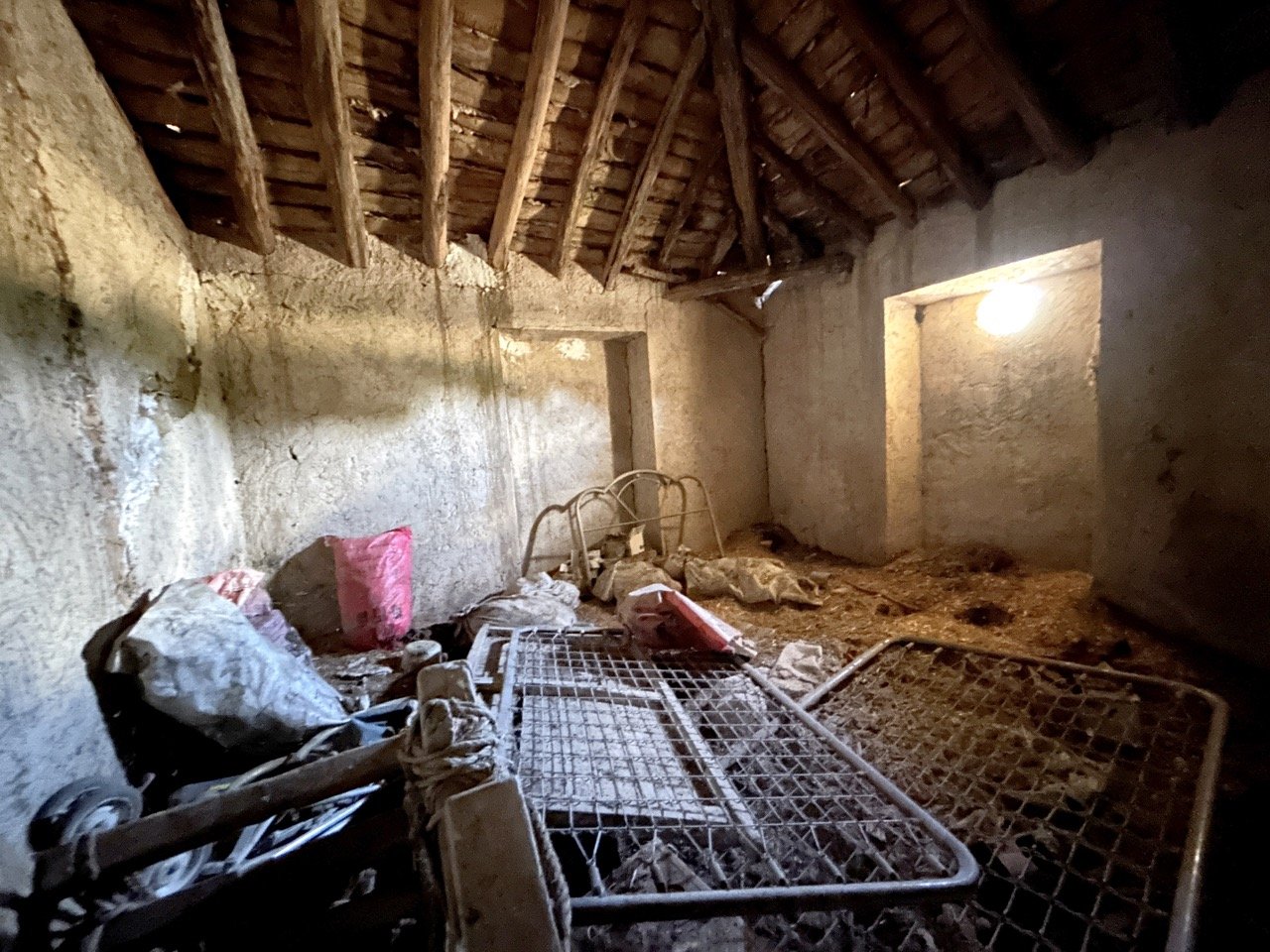 IMG_6936 Large.jpeg