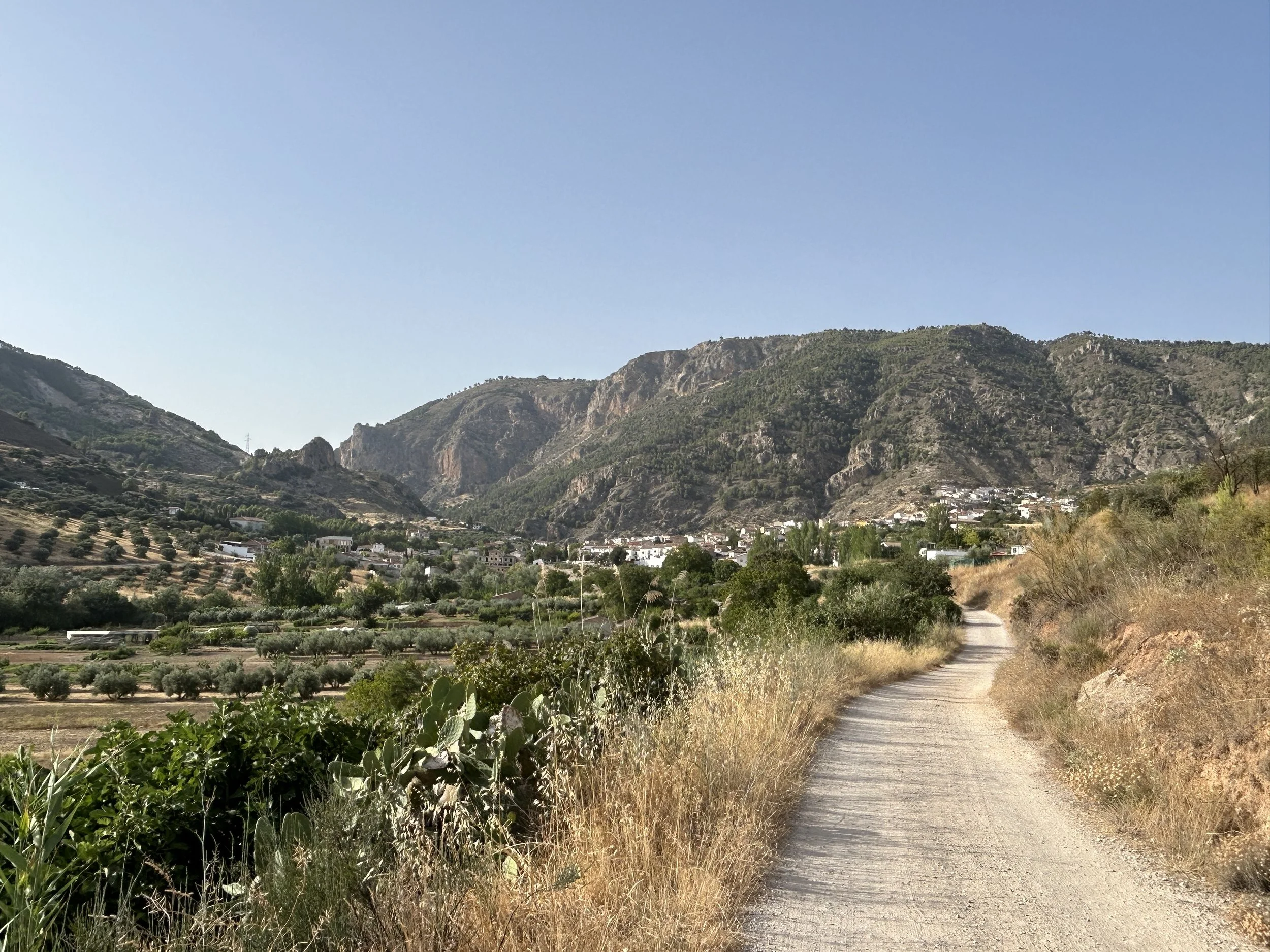 olivares.JPG