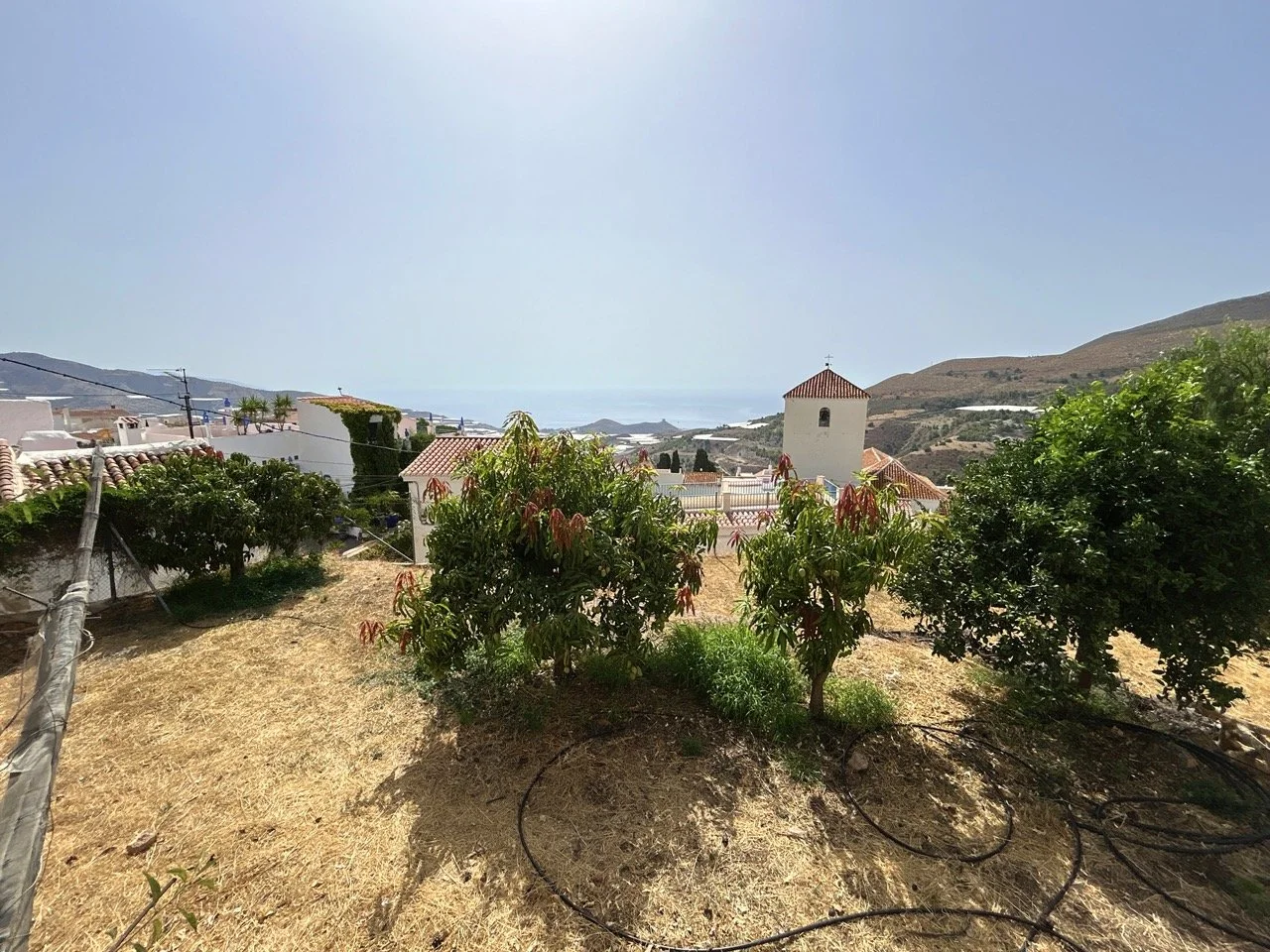 DJI_20250805_114818_264 Large.jpeg