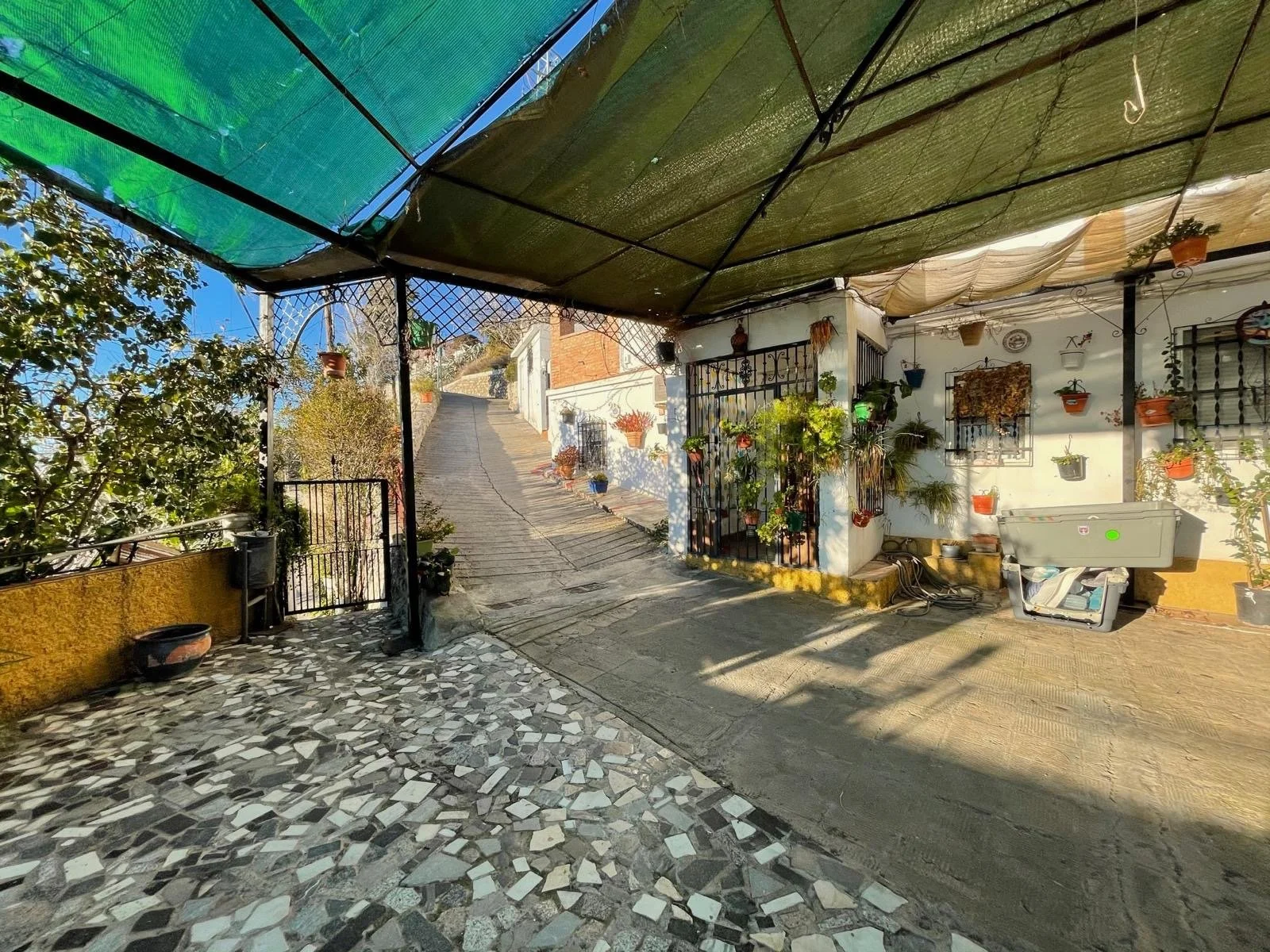 15e599c8-f8a9-4a06-9847-aa893d496df8 2.JPG