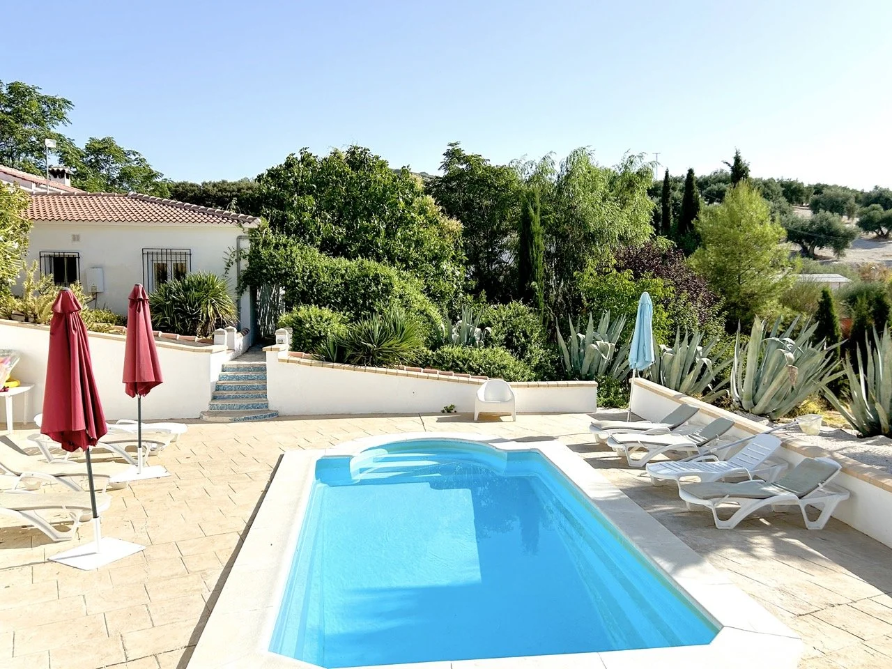 Pool_view Large.jpeg