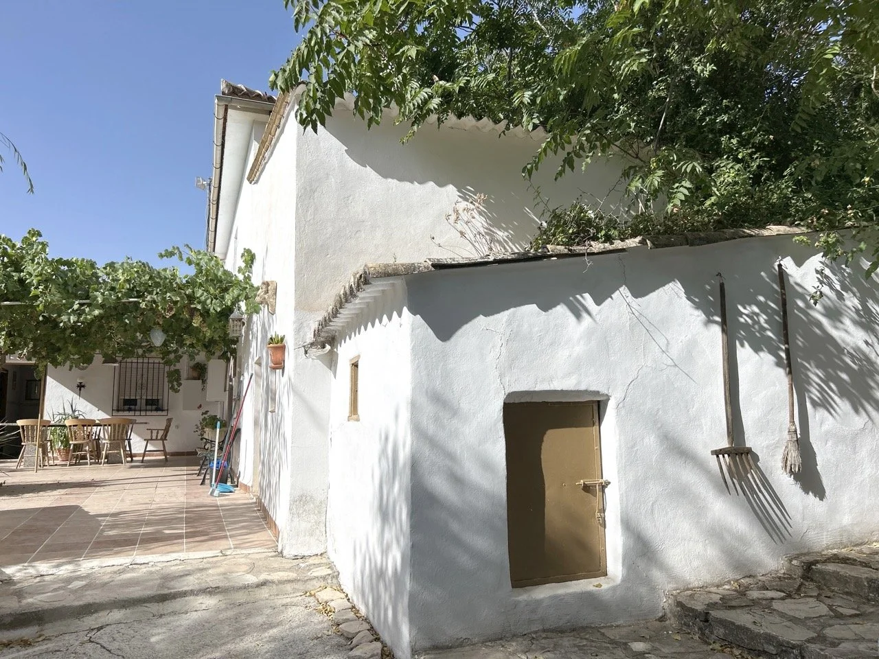 DJI_20240824_103124_718 Large.jpeg