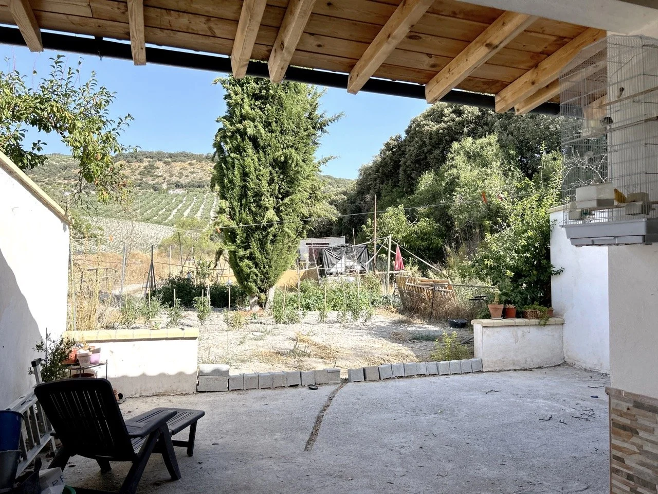 DJI_20240824_103409_667 Large.jpeg