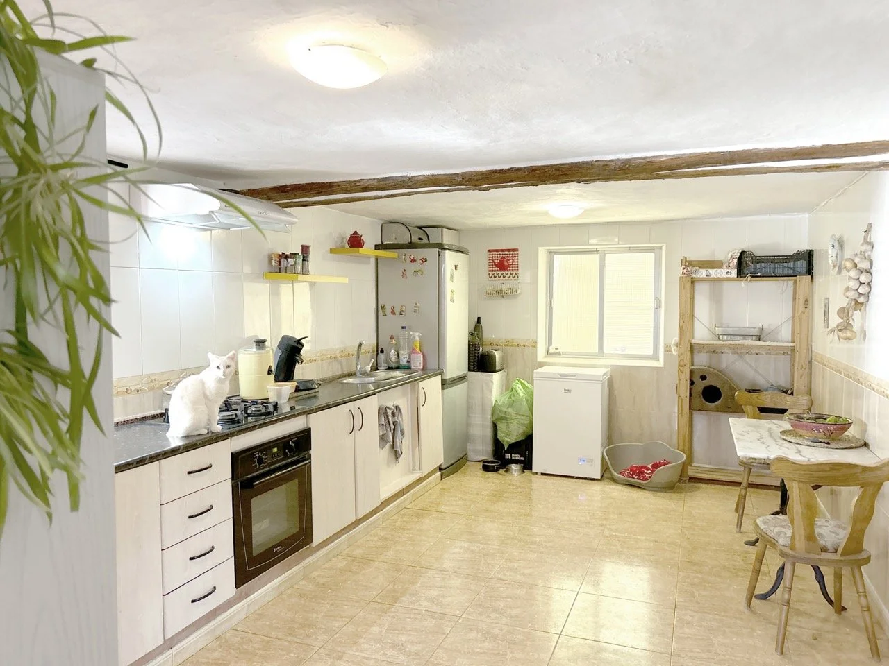 DJI_20240824_103511_350 Large.jpeg