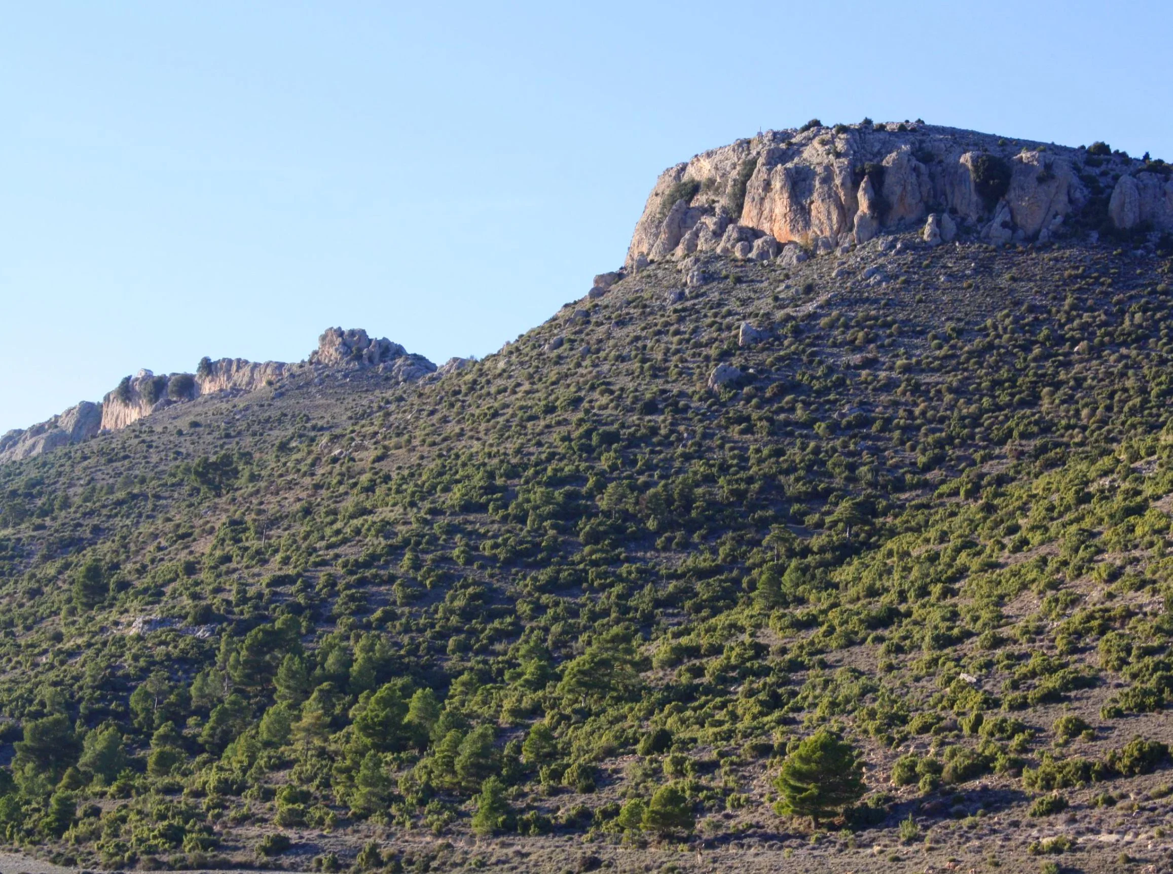 La Cizana_terreno.jpg