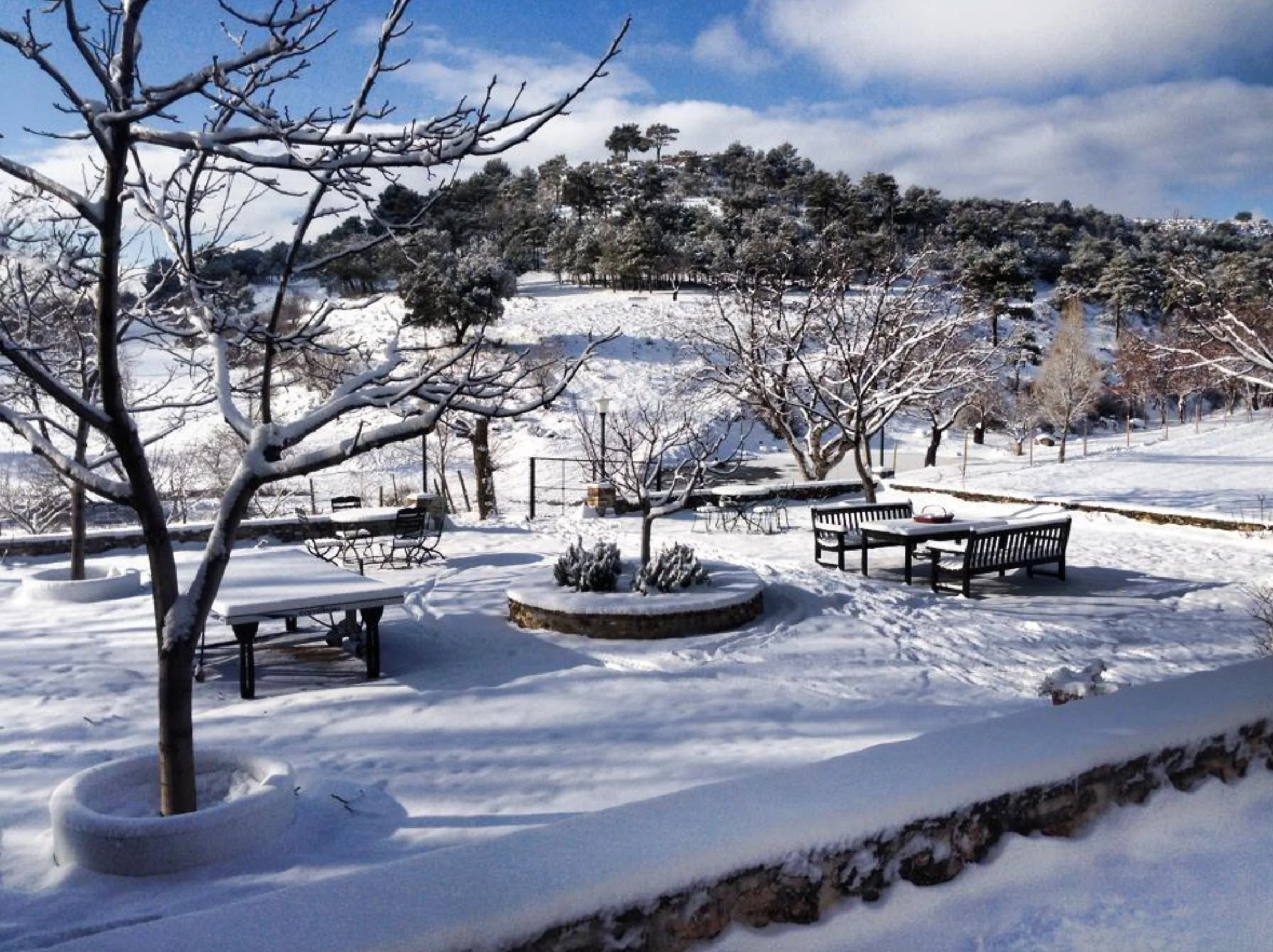 La Cizana_winter04.jpg