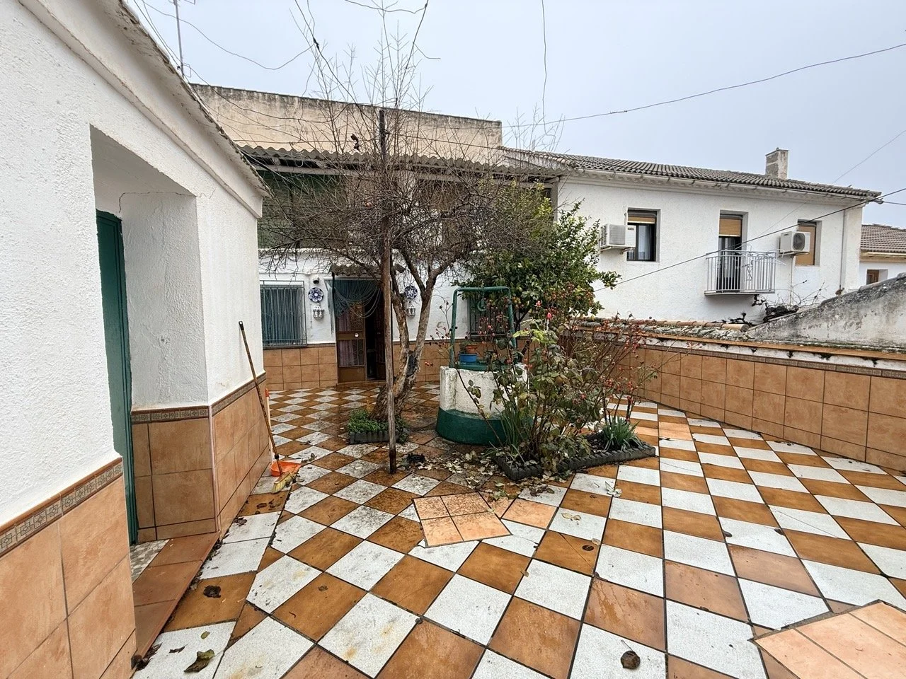 IMG_1632 2 Large.jpeg