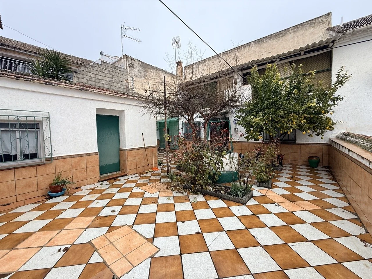 IMG_1633 2 Large.jpeg