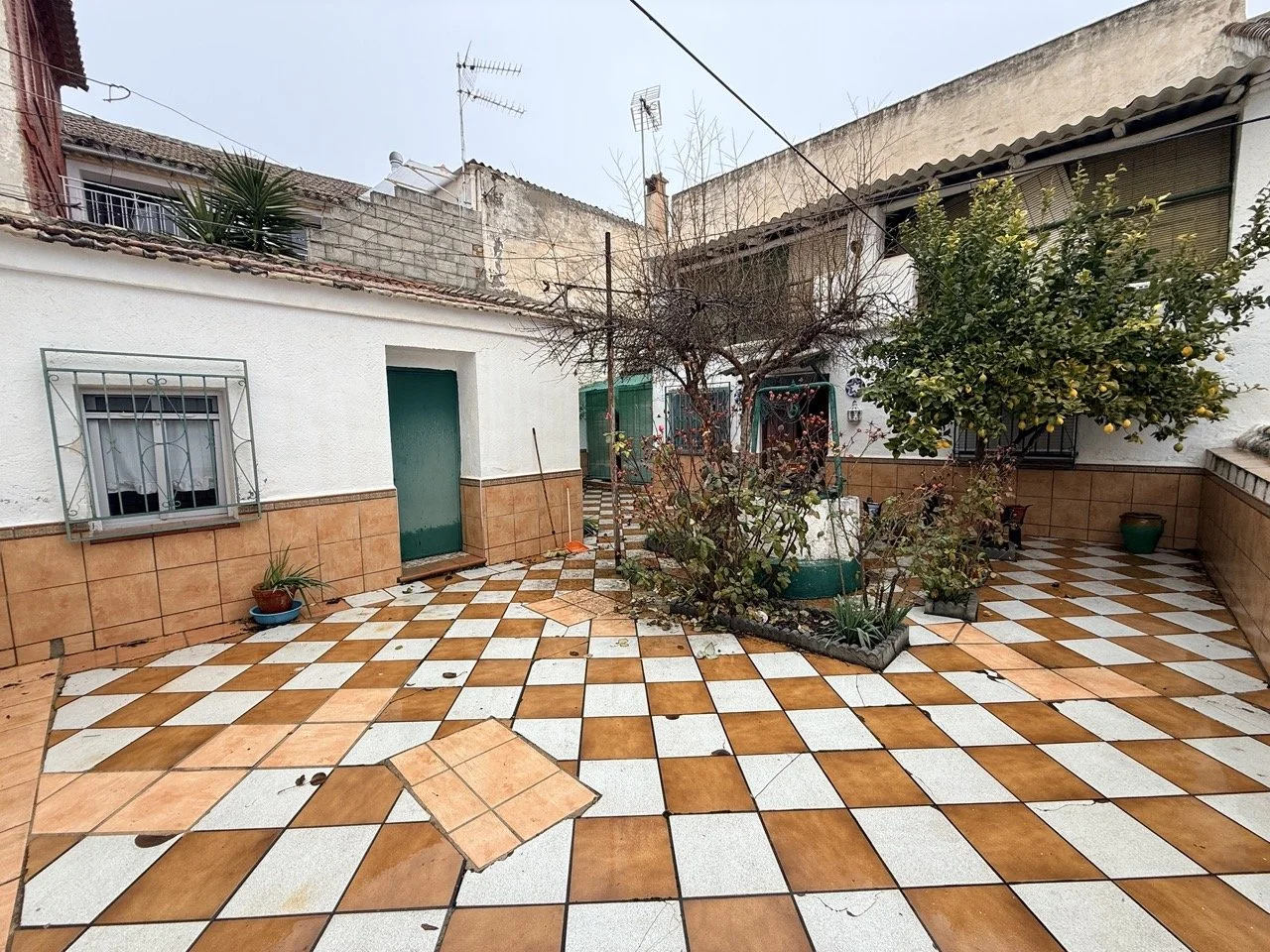 IMG_1634 2 Large.jpeg