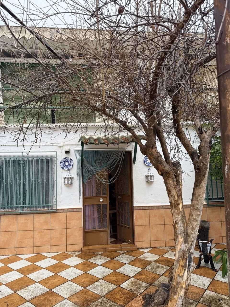 IMG_1638 2 Large.jpeg