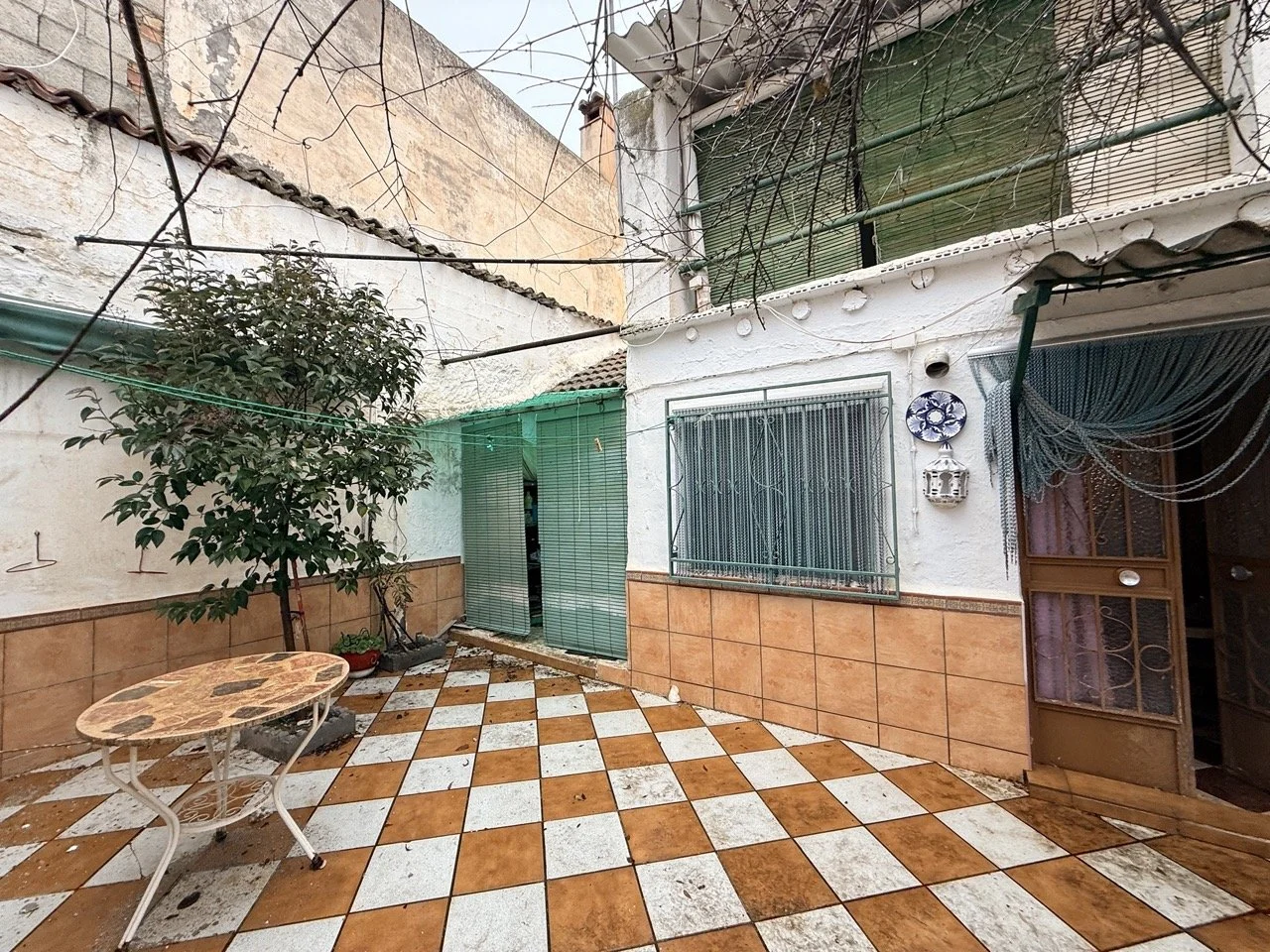 IMG_1639 2 Large.jpeg