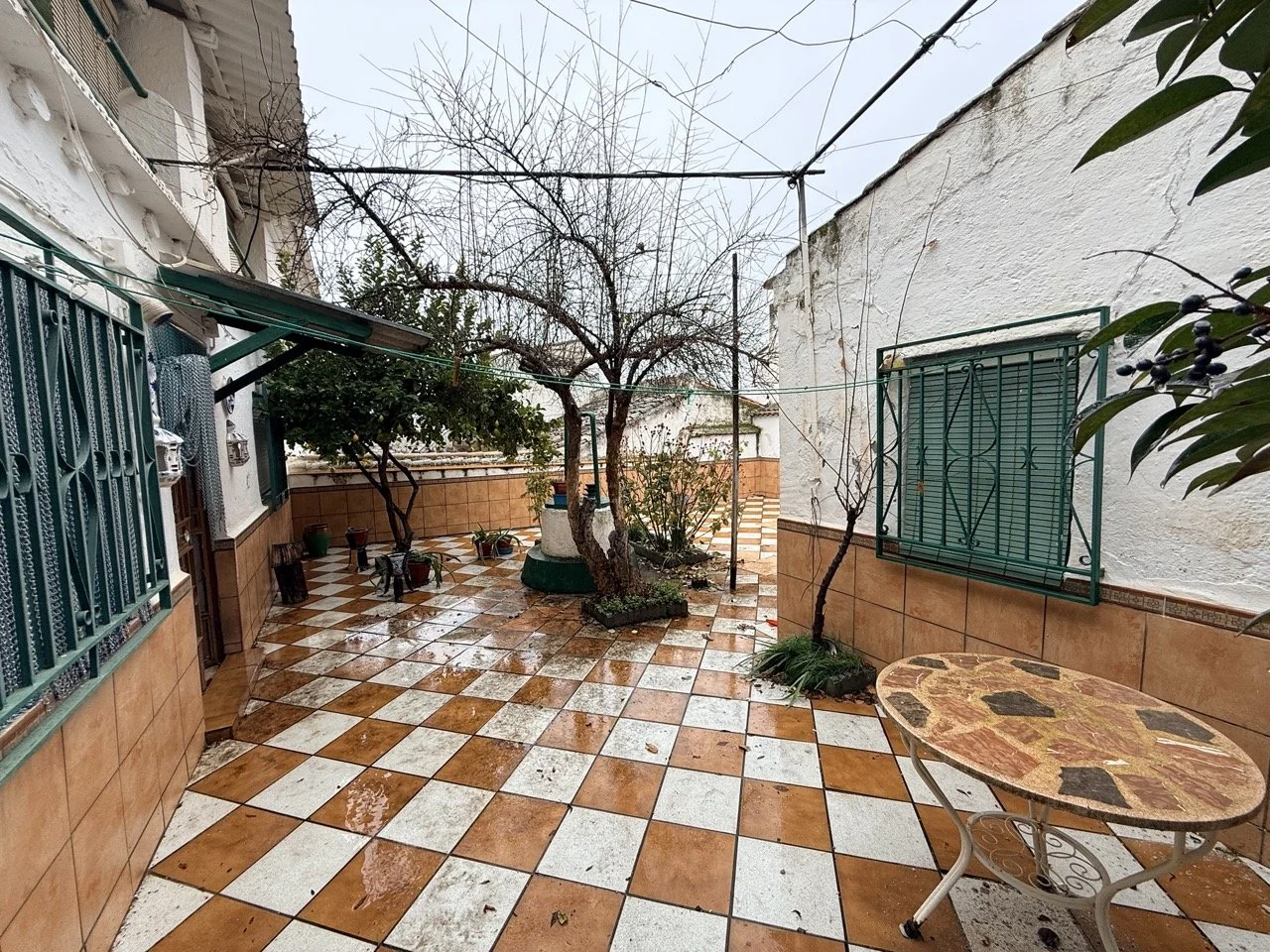 IMG_1640 2 Large.jpeg