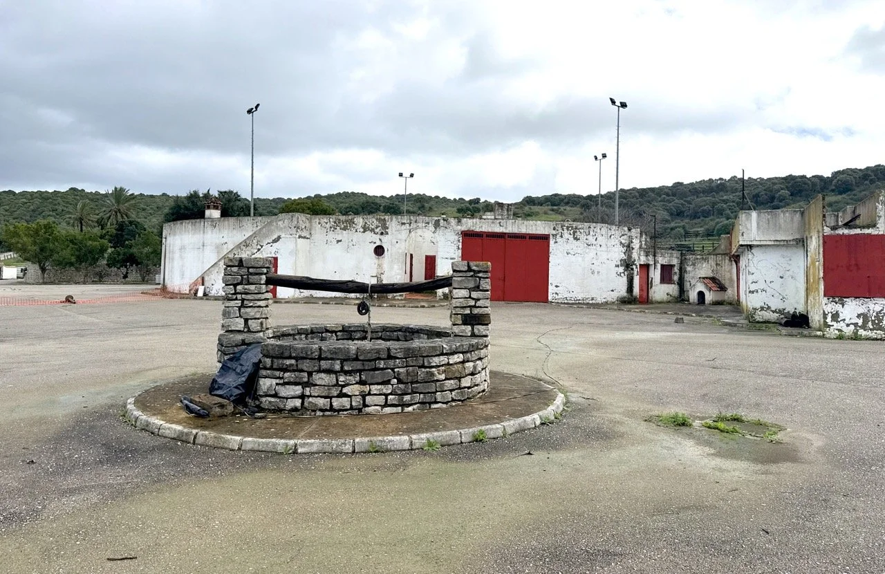 DJI_20260212_122639_234 Large.jpeg