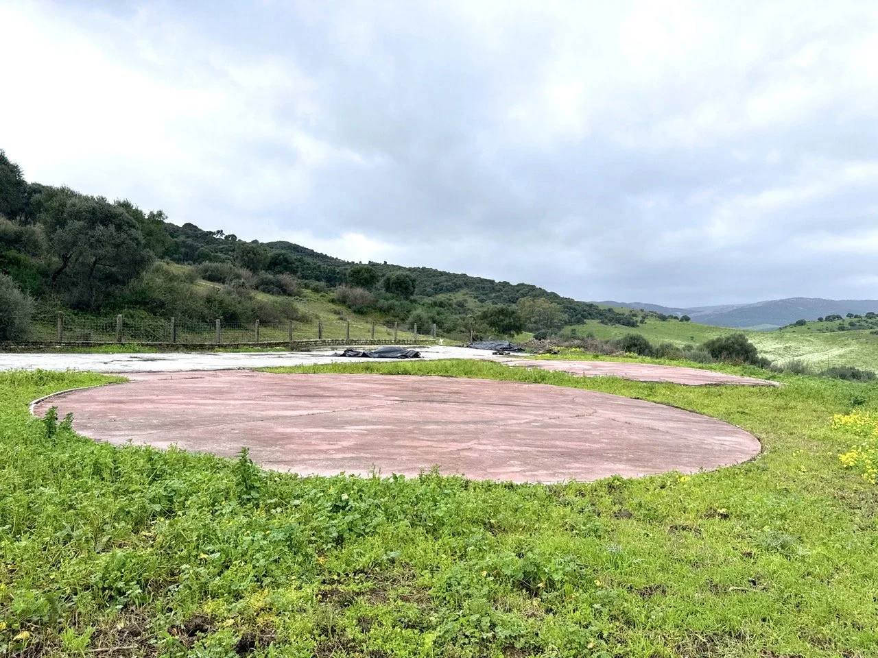 DJI_20260212_122633_188 Large.jpeg