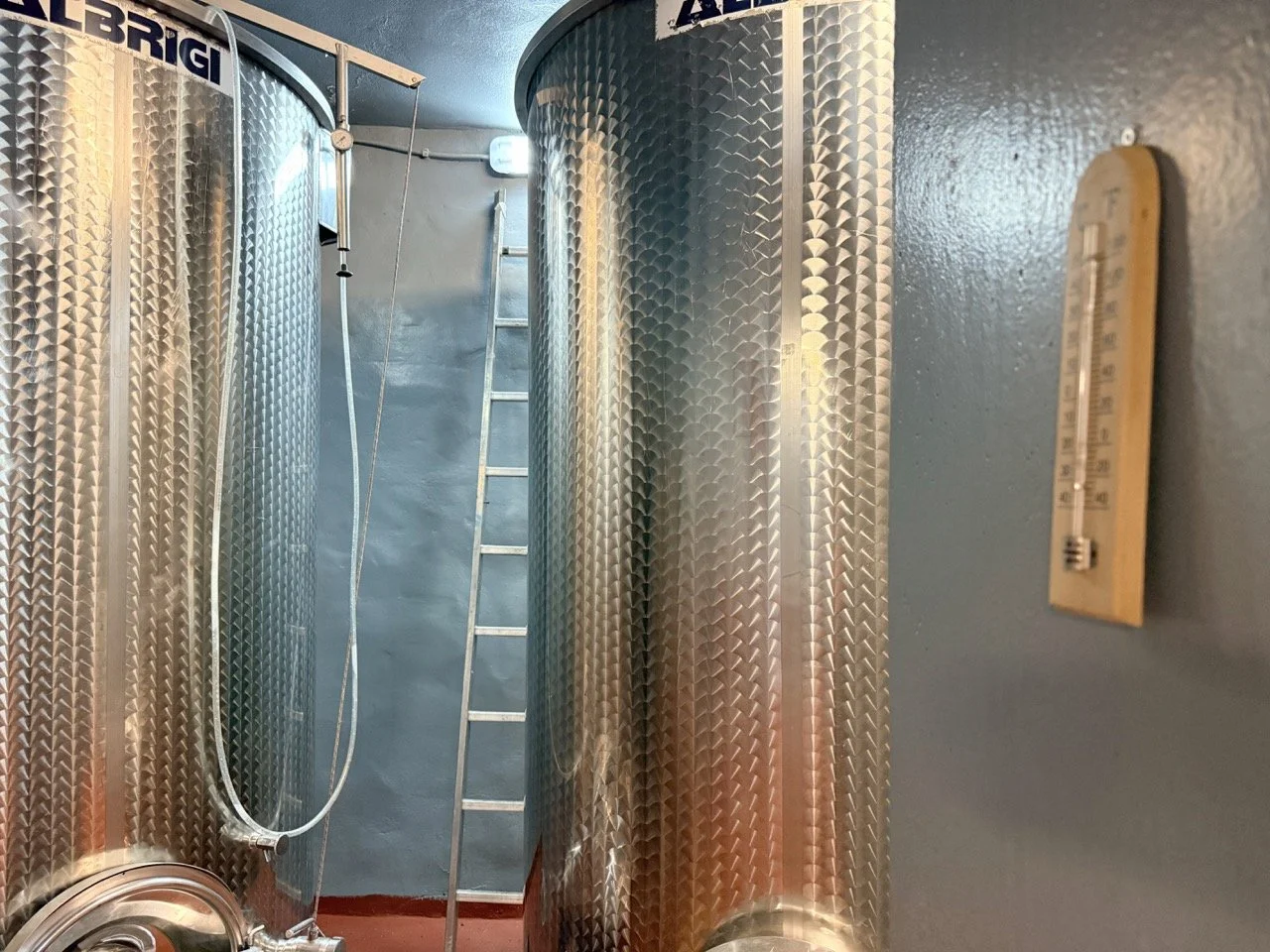 IMG_2796 2 Large.jpeg