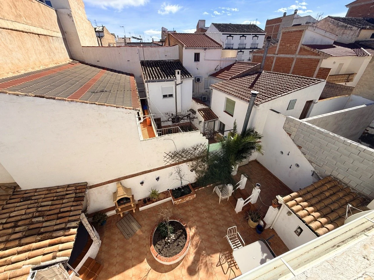 IMG_2614 2 Large.jpeg