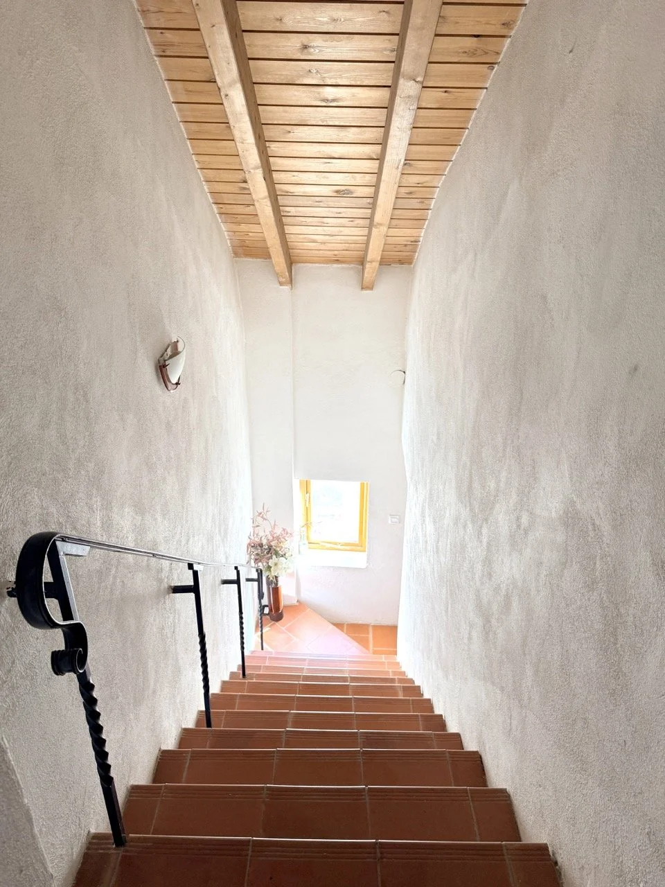 IMG_2621 2 Large.jpeg