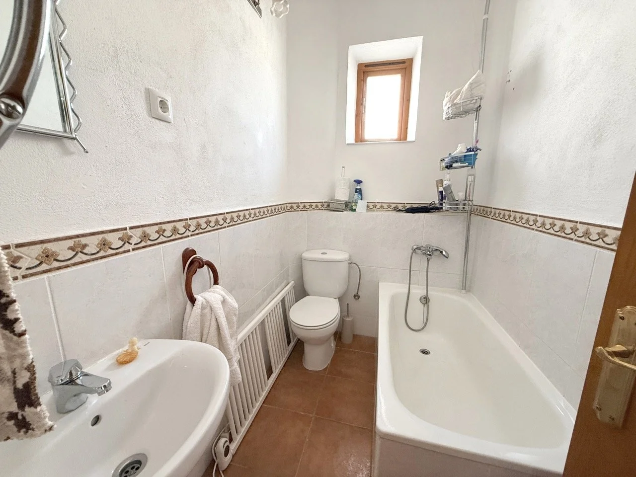 IMG_2631 2 Large.jpeg