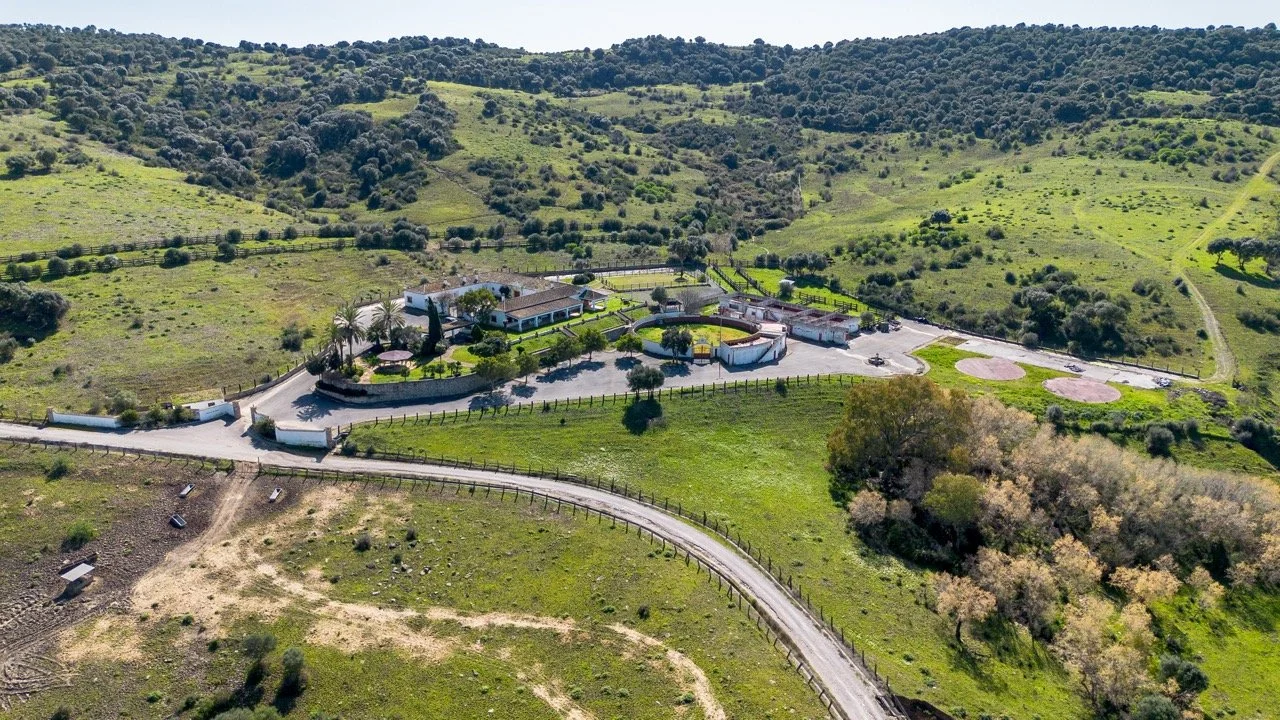 - (2 of 17) Large.jpeg