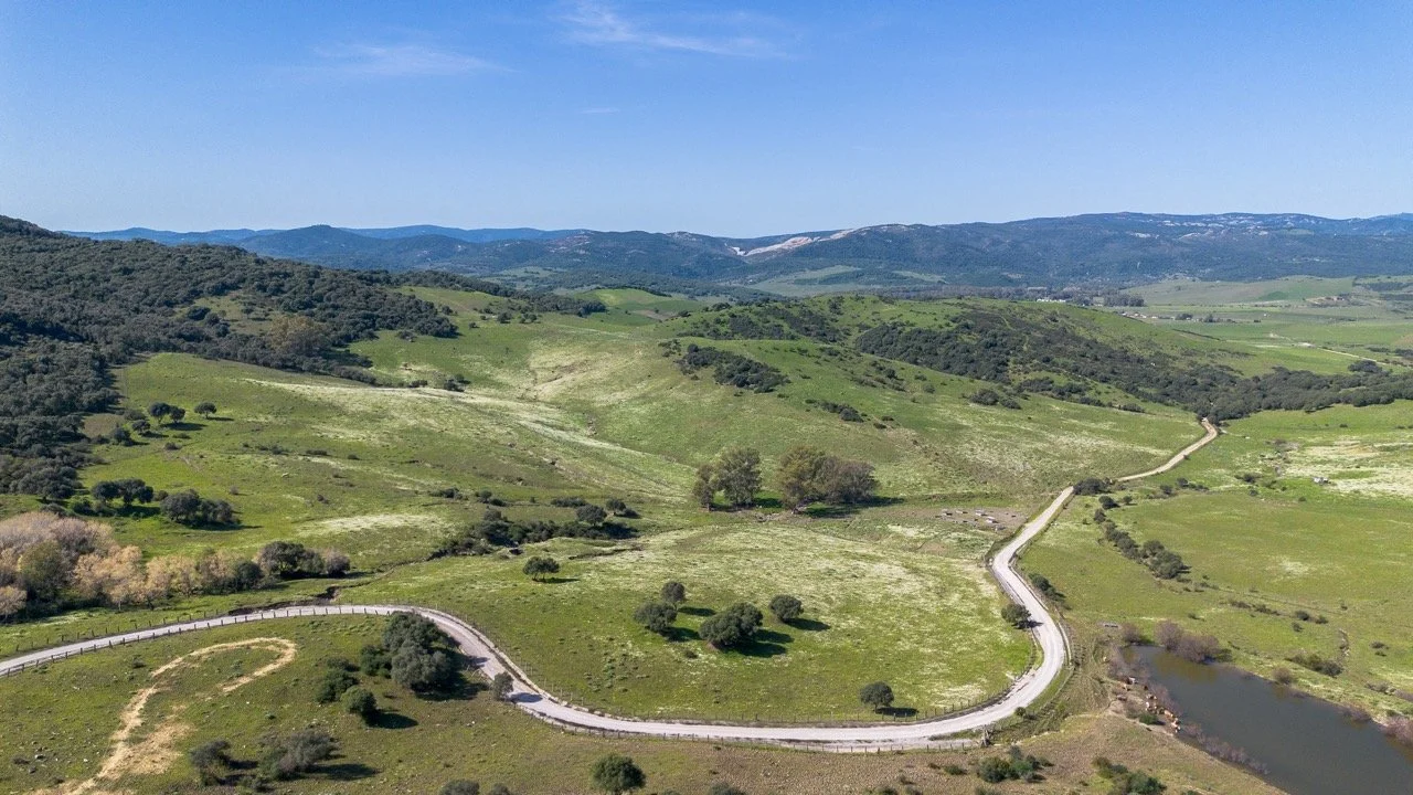 - (4 of 17) Large.jpeg