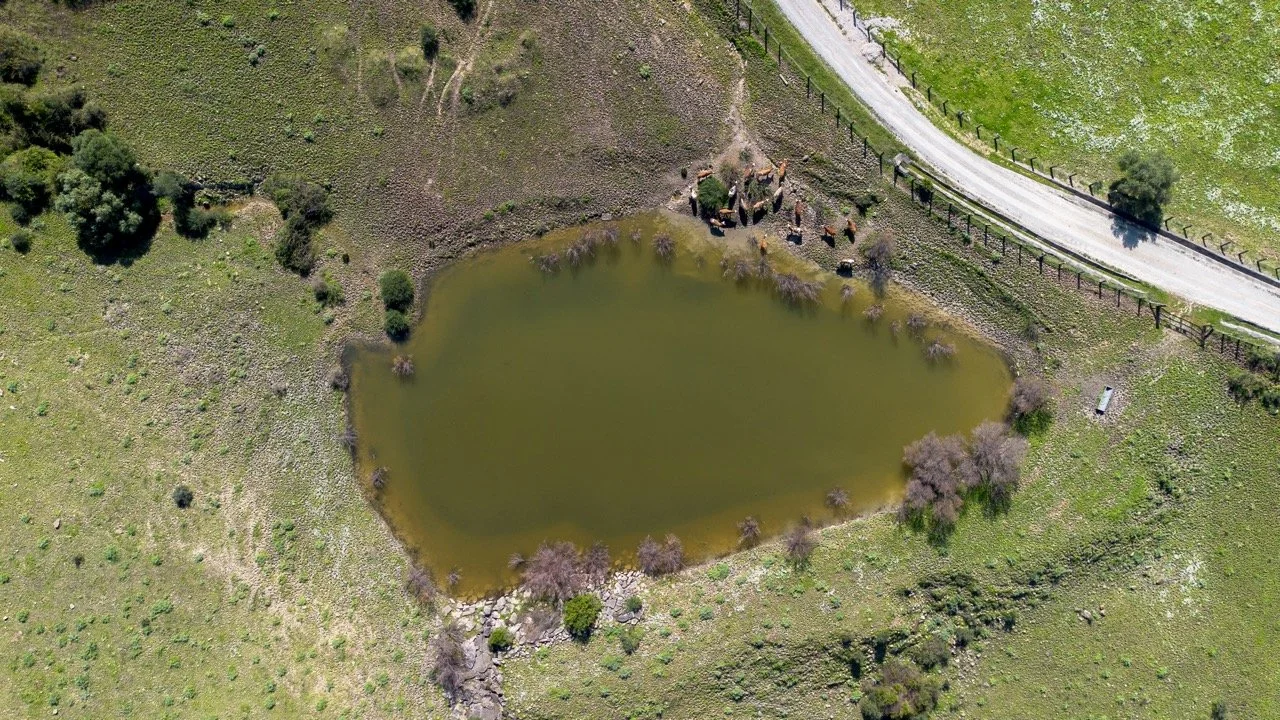 - (5 of 17) Large.jpeg