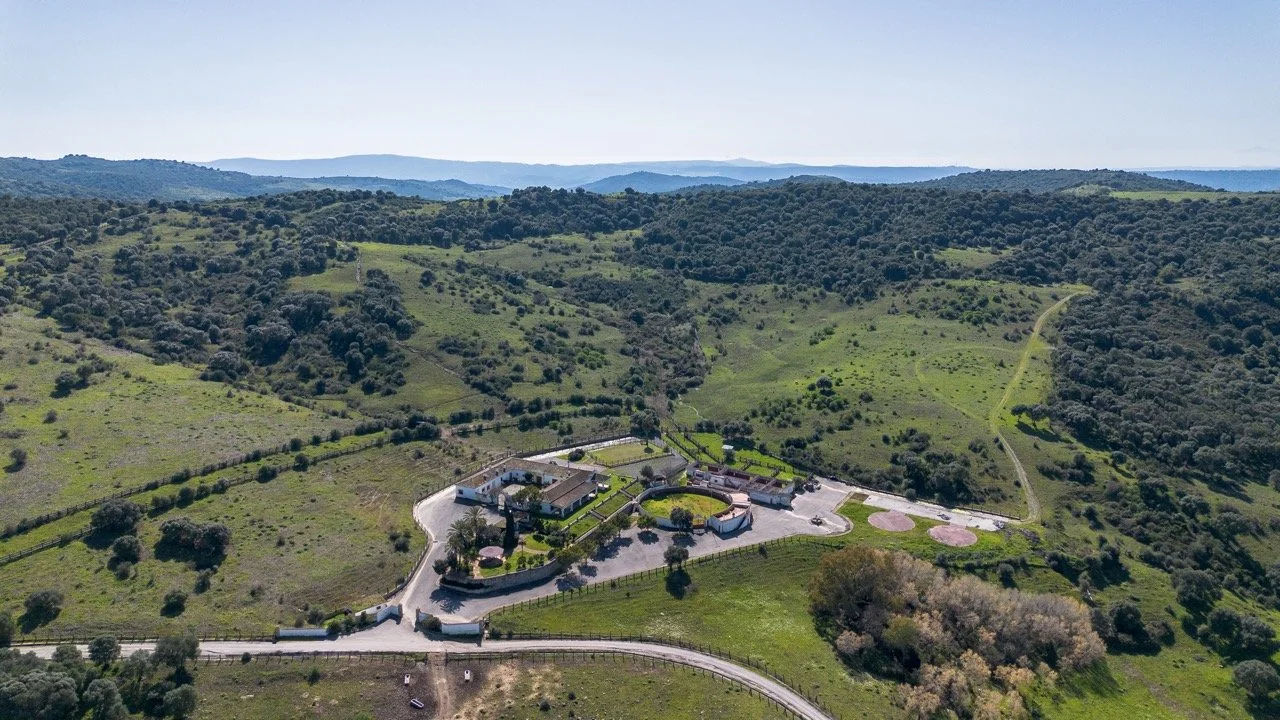 - (6 of 17) Large.jpeg