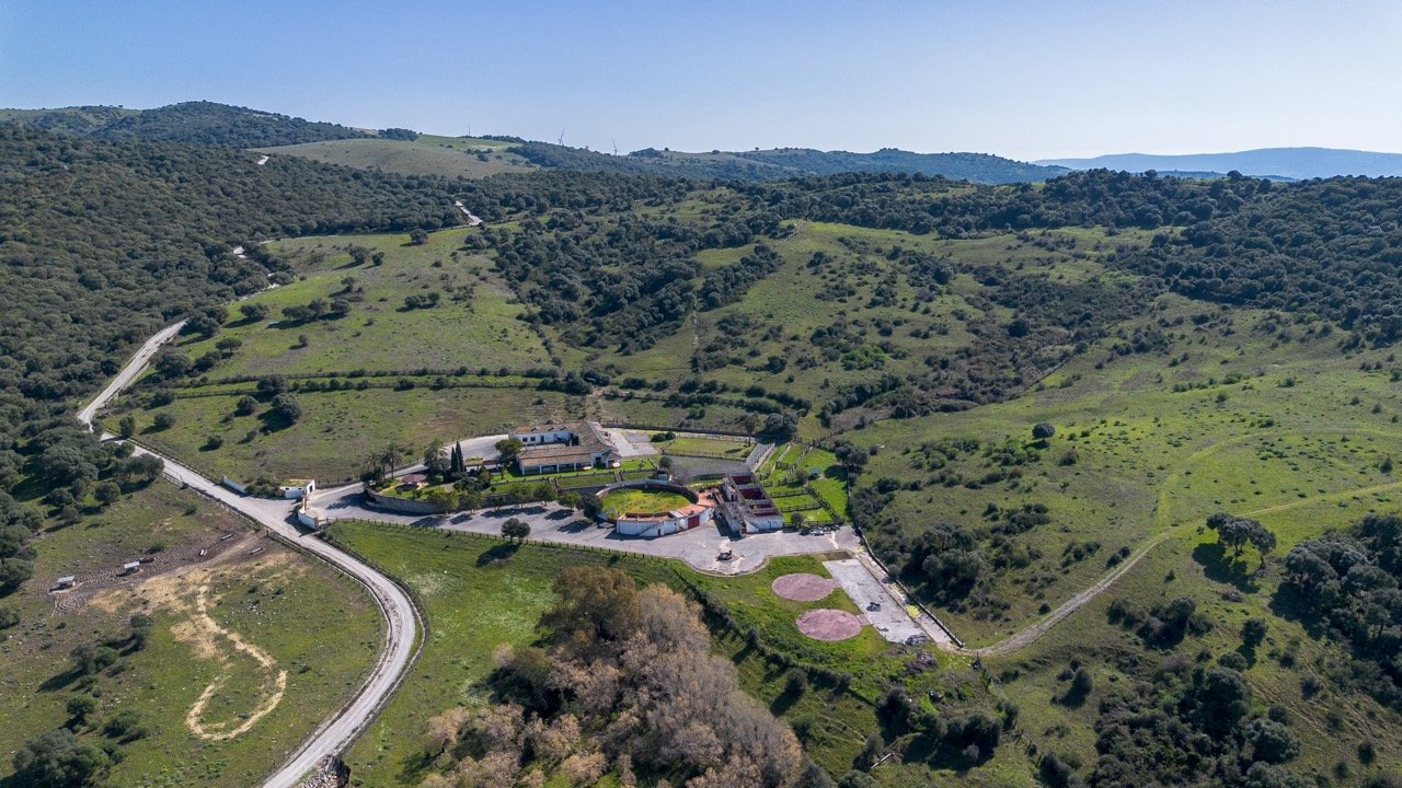 - (8 of 17) Large.jpeg